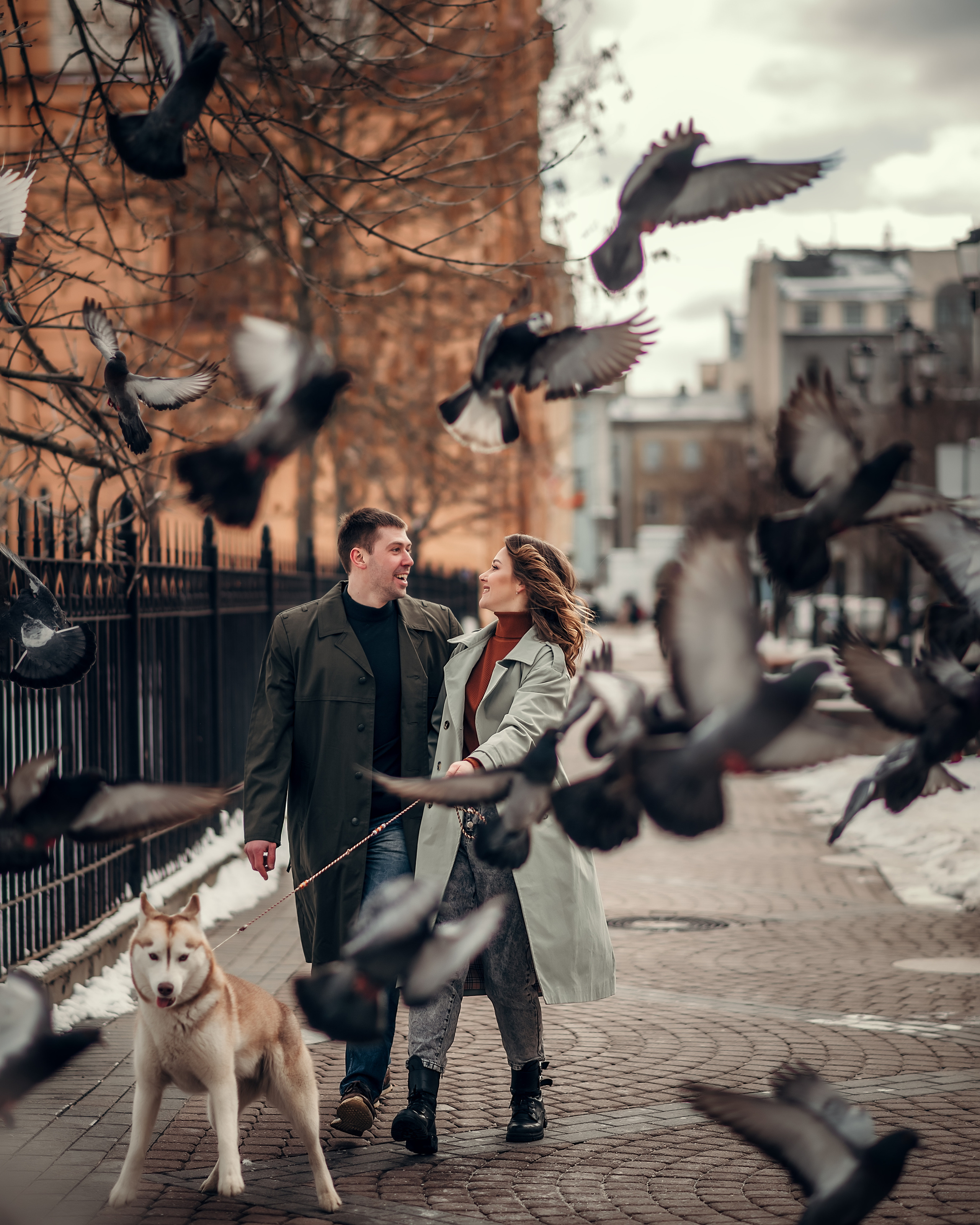 Надя, Денис и хаски Марго, Соляной переулок. Фотограф в Санкт- Петербурге Мария Золотарь