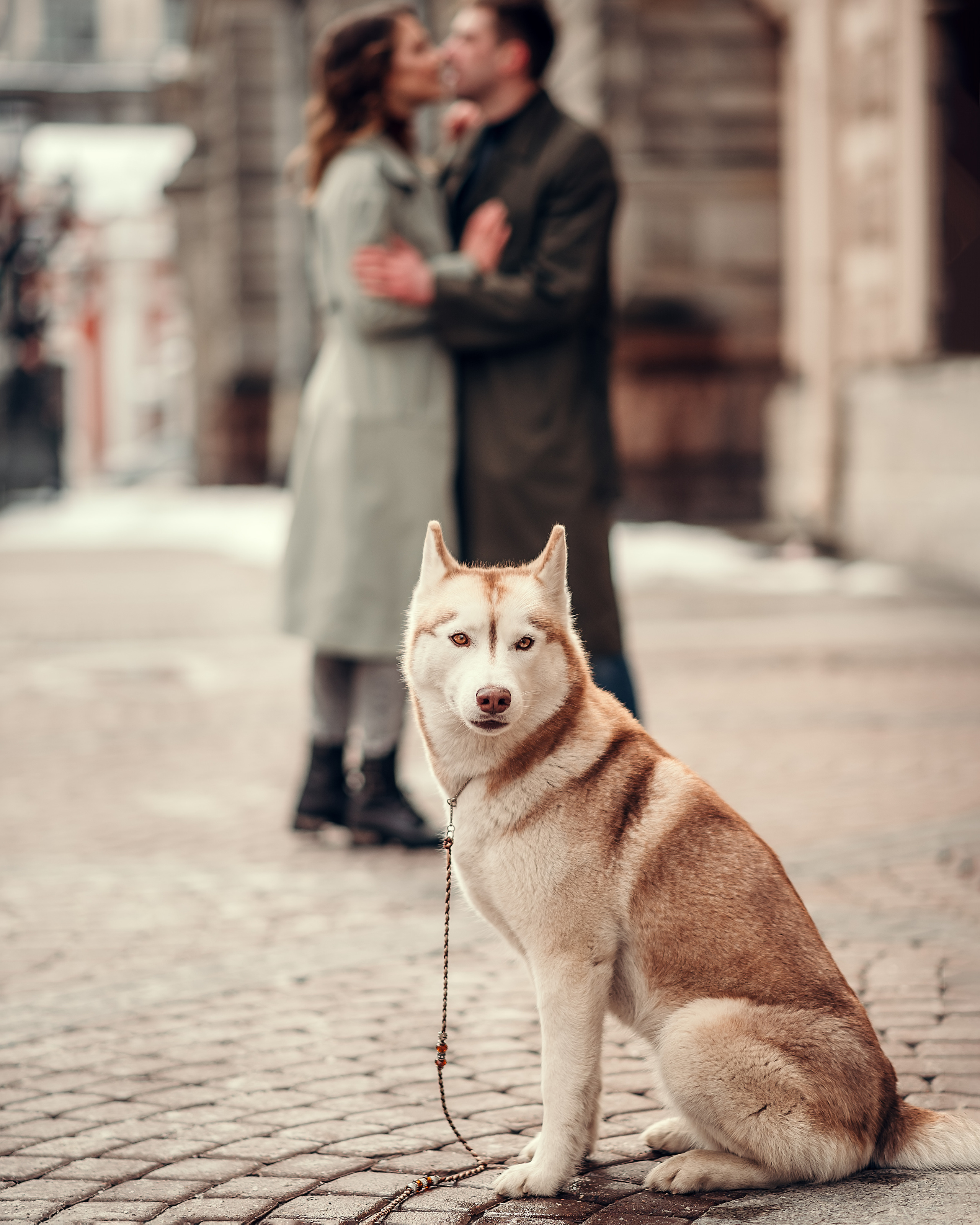 Надя, Денис и хаски Марго, Соляной переулок. Фотограф в Санкт- Петербурге Мария Золотарь
