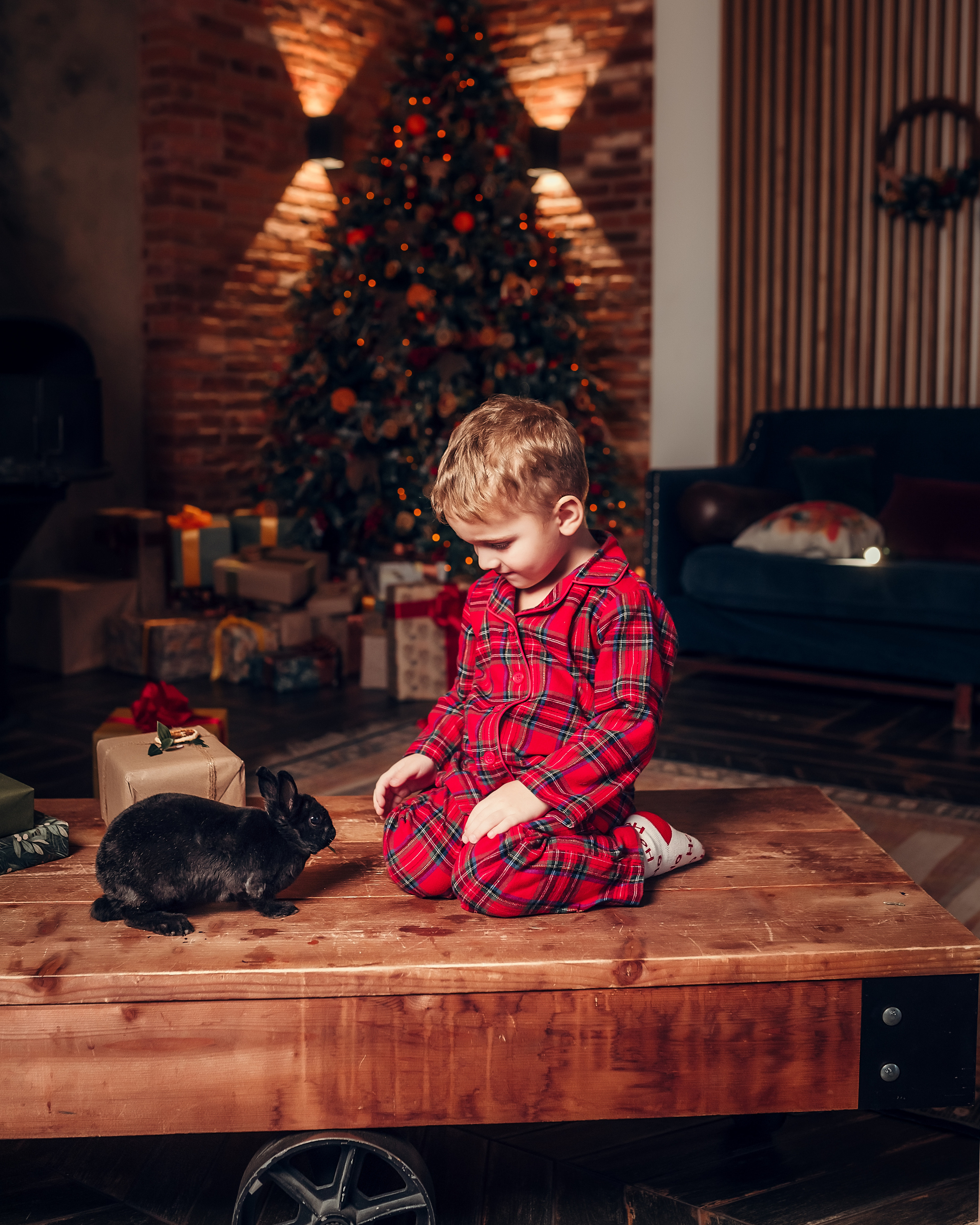 Семейная с кроликом, студия Leona Stage. Фотограф в Санкт- Петербурге Мария Золотарь