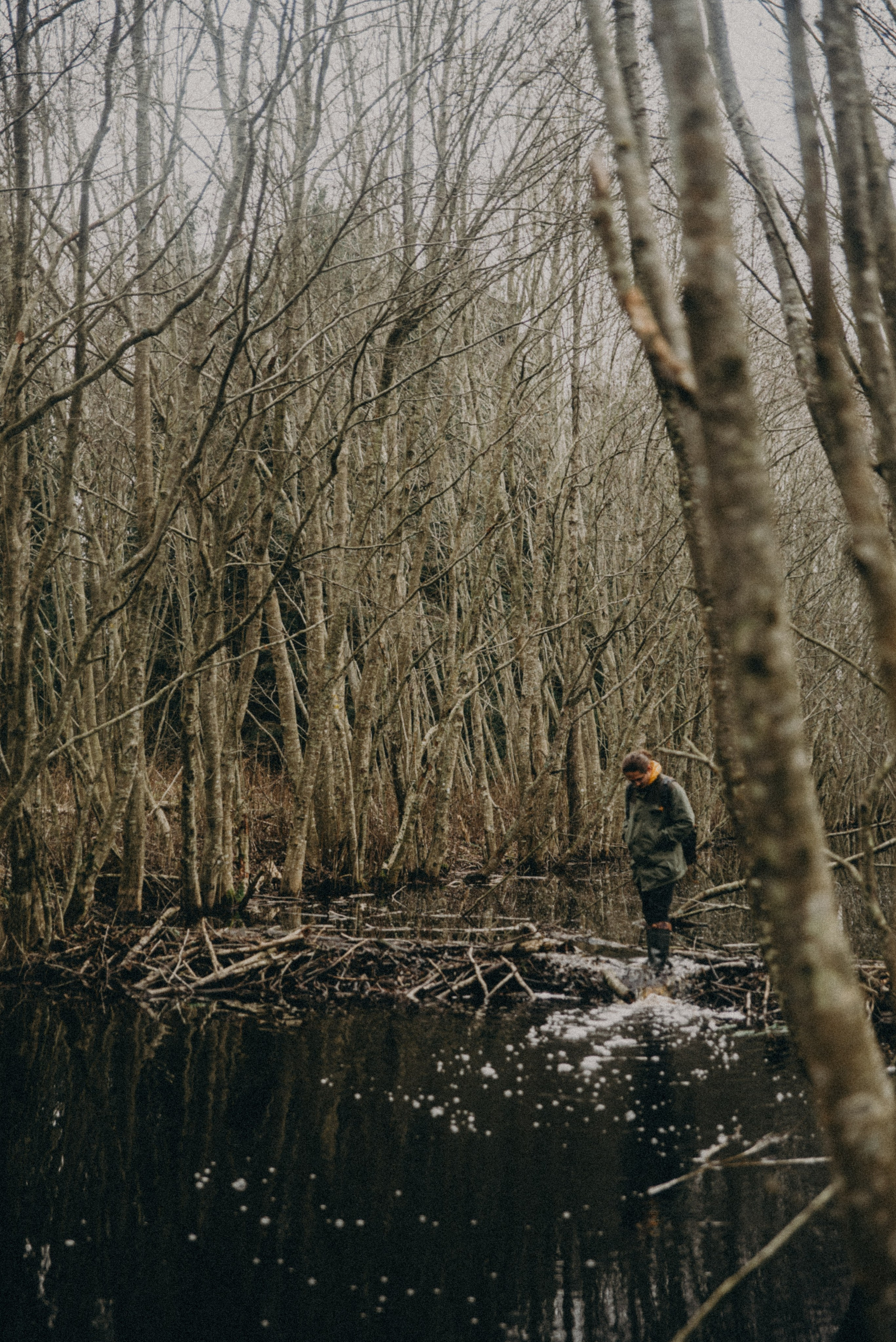 Ельня, Беларусь. Anita_photo