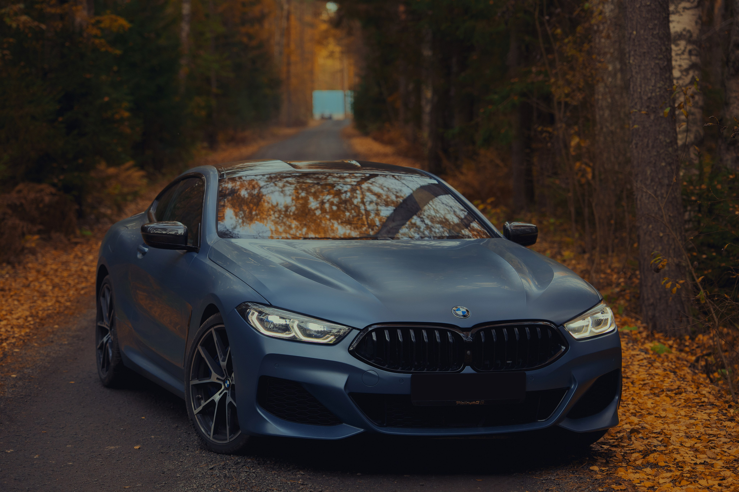 BMW 8 series. Портретный и автомобильный фотограф в Санкт-Петербурге Евгений Черепанов