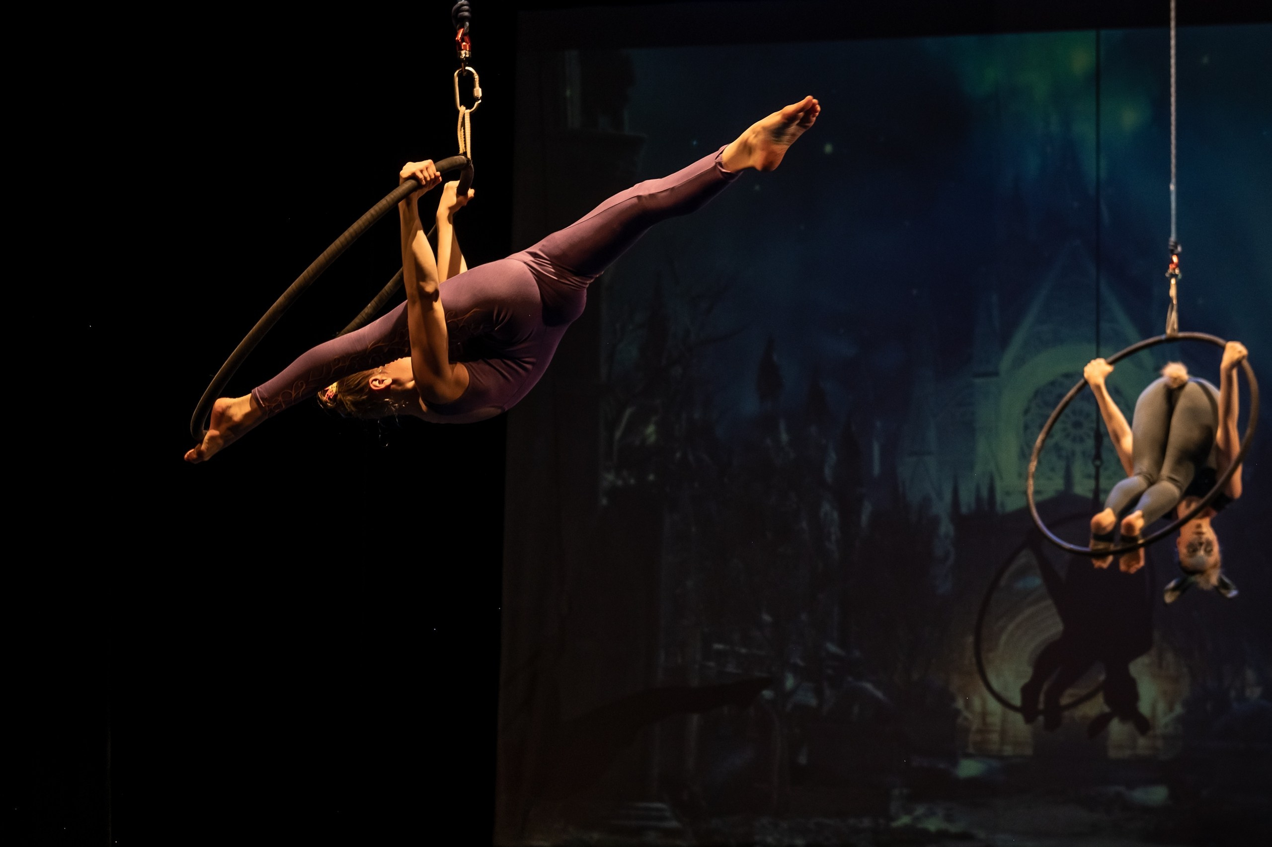 Отчетное выступление студии воздушной гимнастики Sport Evolution. Свадебный и семейный фотограф София Невская