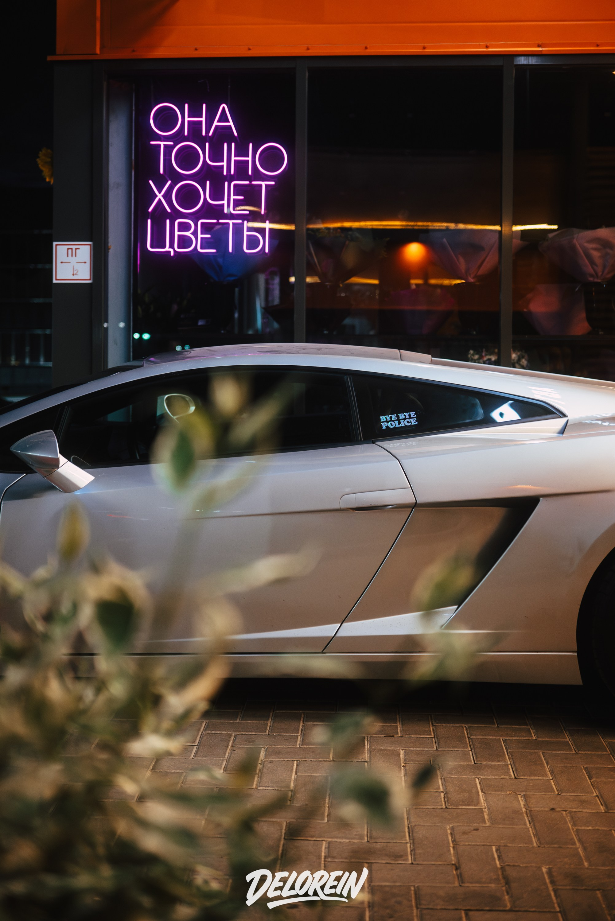 Downfly 6 августа 2025. DeLorein