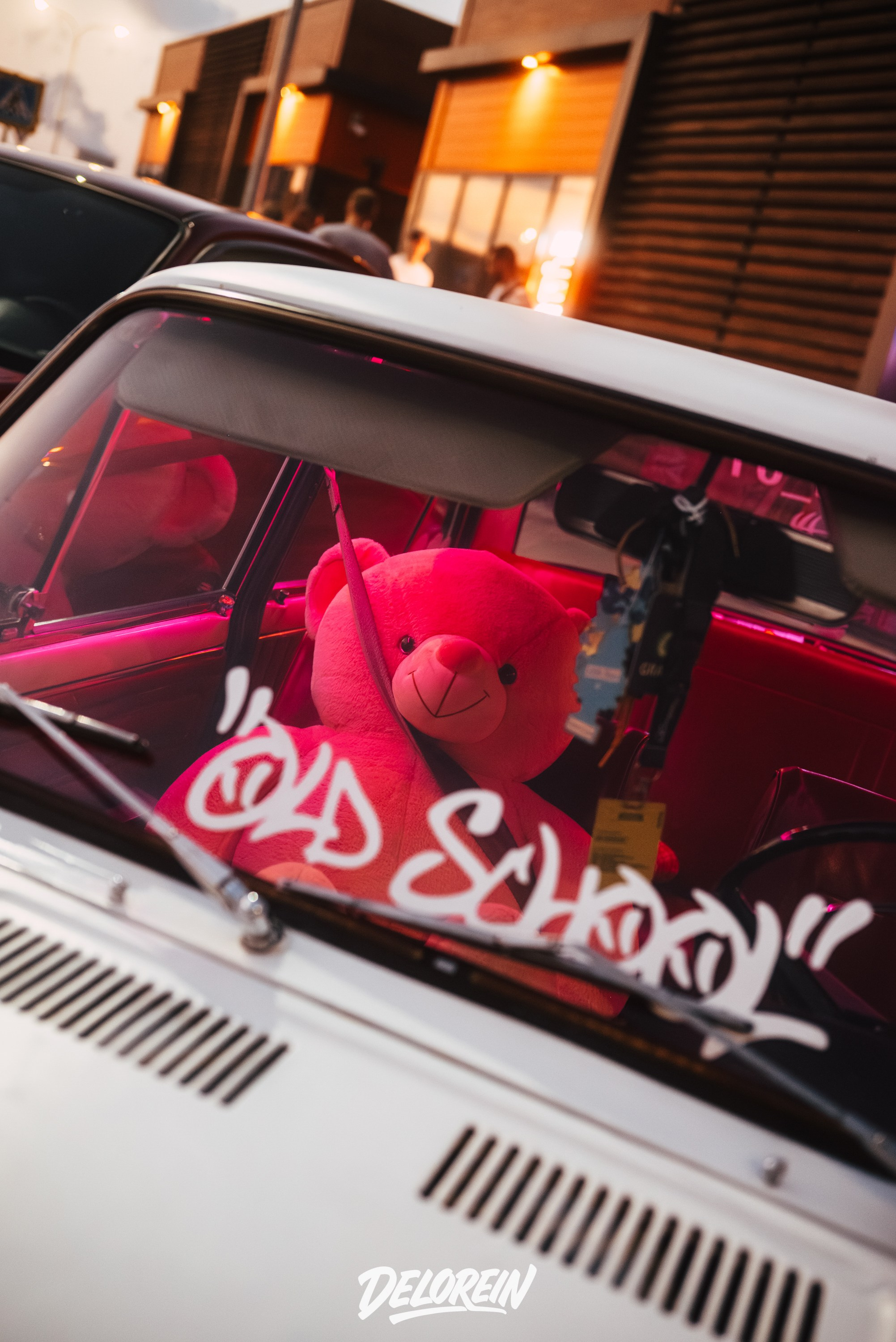 Downfly 30 июля 2025. DeLorein