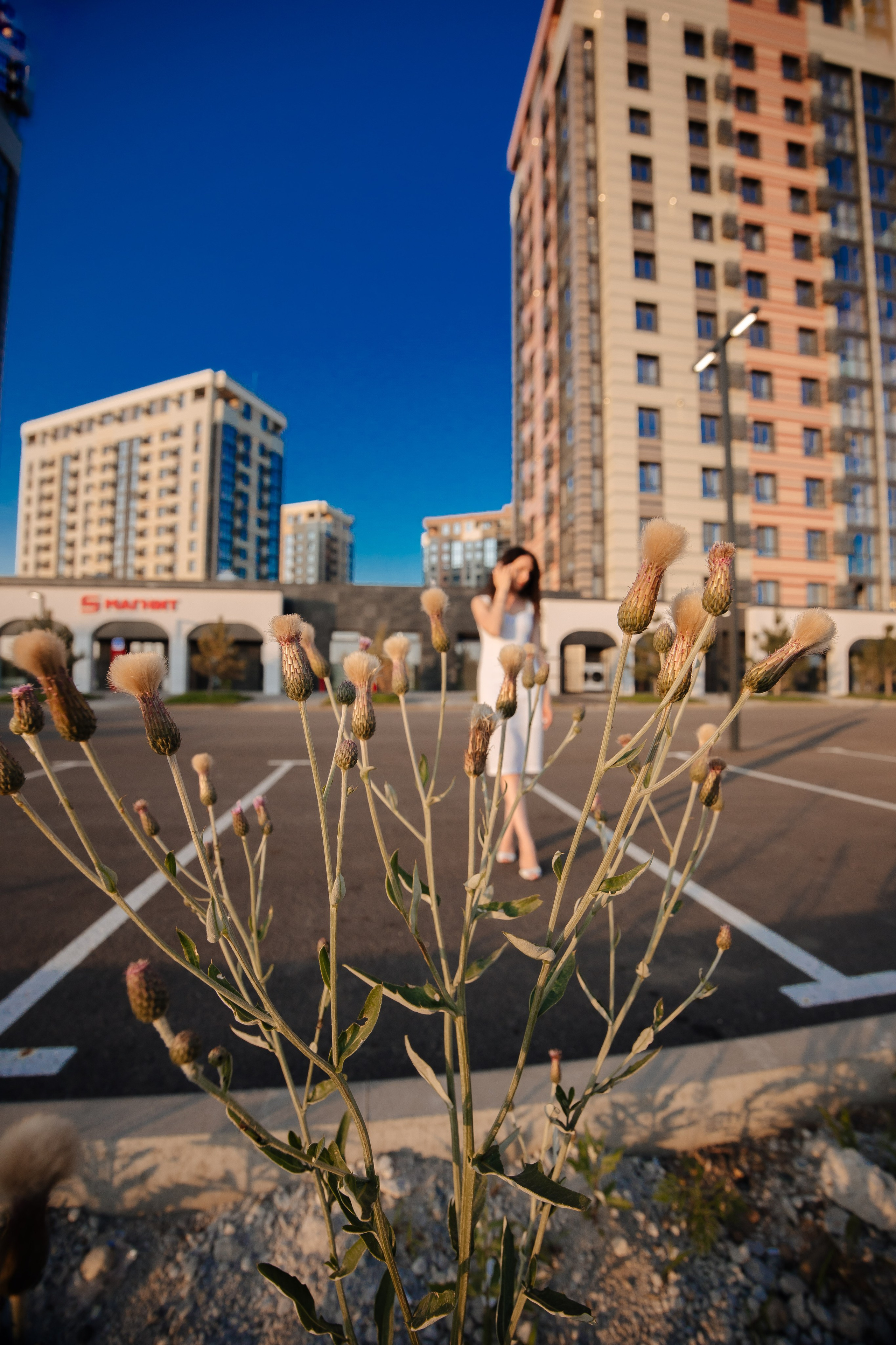 Лето. Профессиональный фотограф и видеооператор