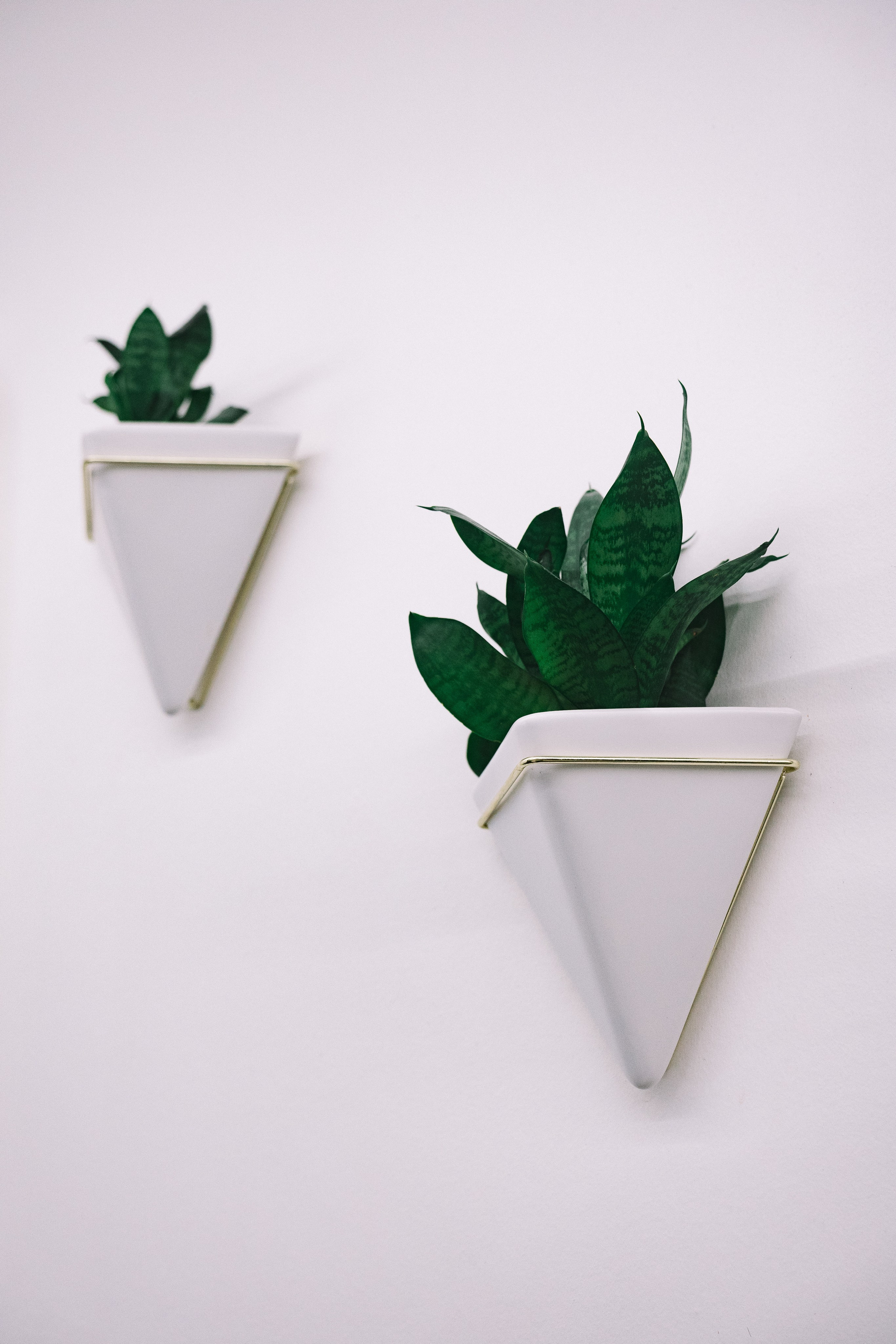 «Girlie» — контент-фотосессия в лучшей парикмахерской Санкт-Петербурга для мастера: Александры. Профессиональный фотограф в Санкт-Петербурге Александр Волосенцев