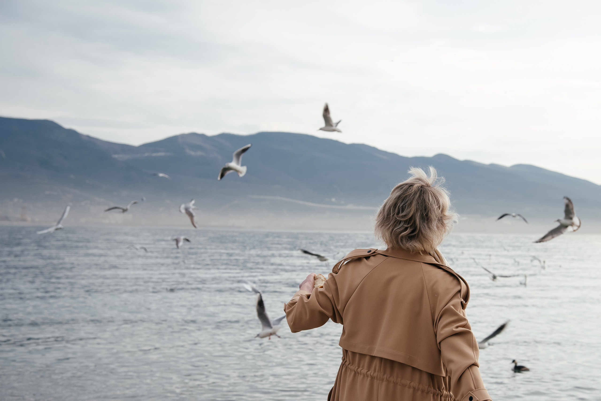 Чайки. Портретный и семейный фотограф в Геленджике Таня Ходова