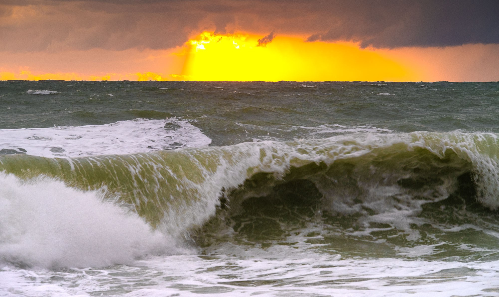 Свадебный фотограф в Геленджике