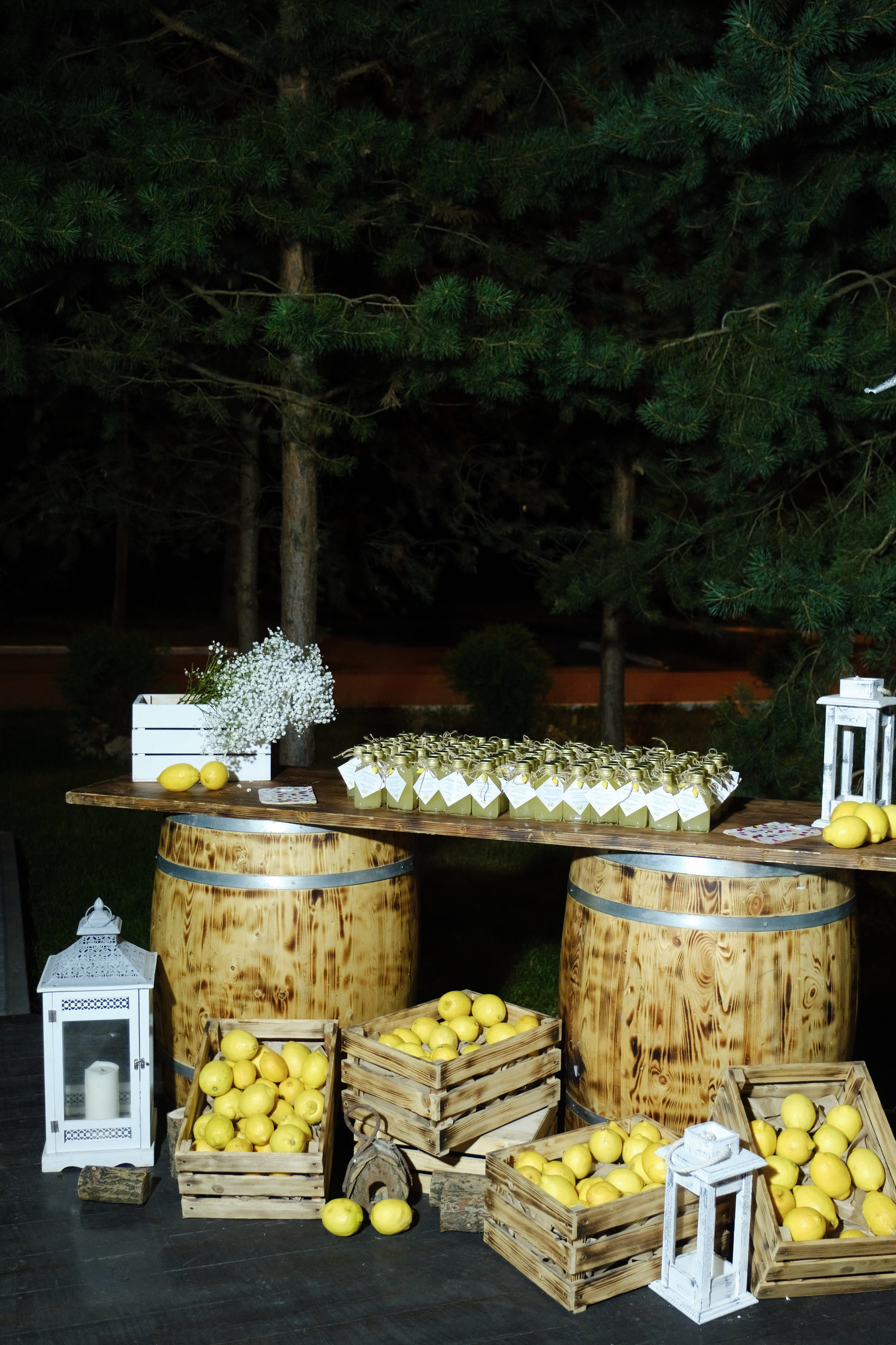 Тимофей и Анастасия. Фотограф Елена Маринина Москва