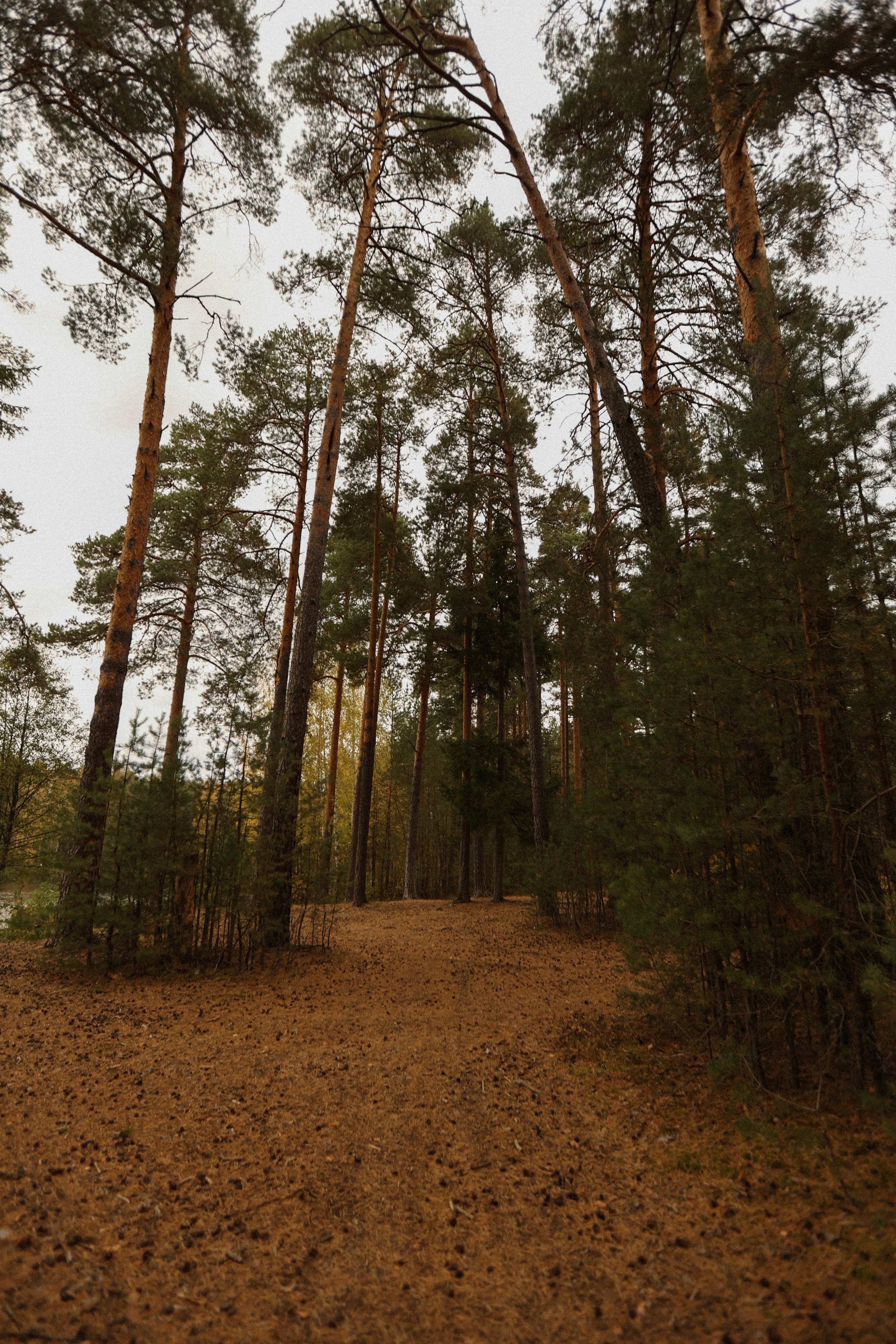 Наша первая история. Фотограф — Ольга Косолюкина