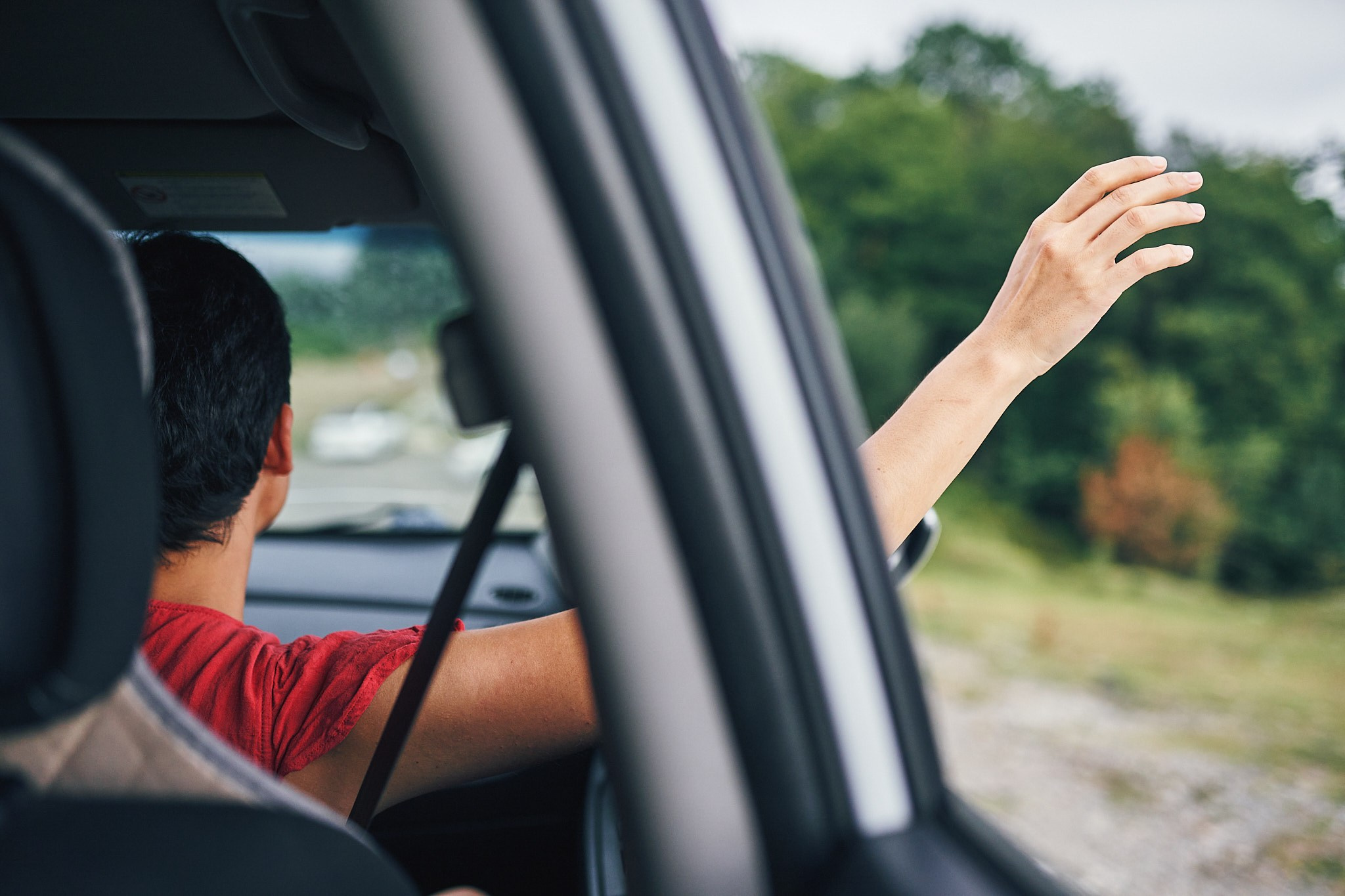 Чайные плантации. Фотограф в Сочи Катя Гончарова