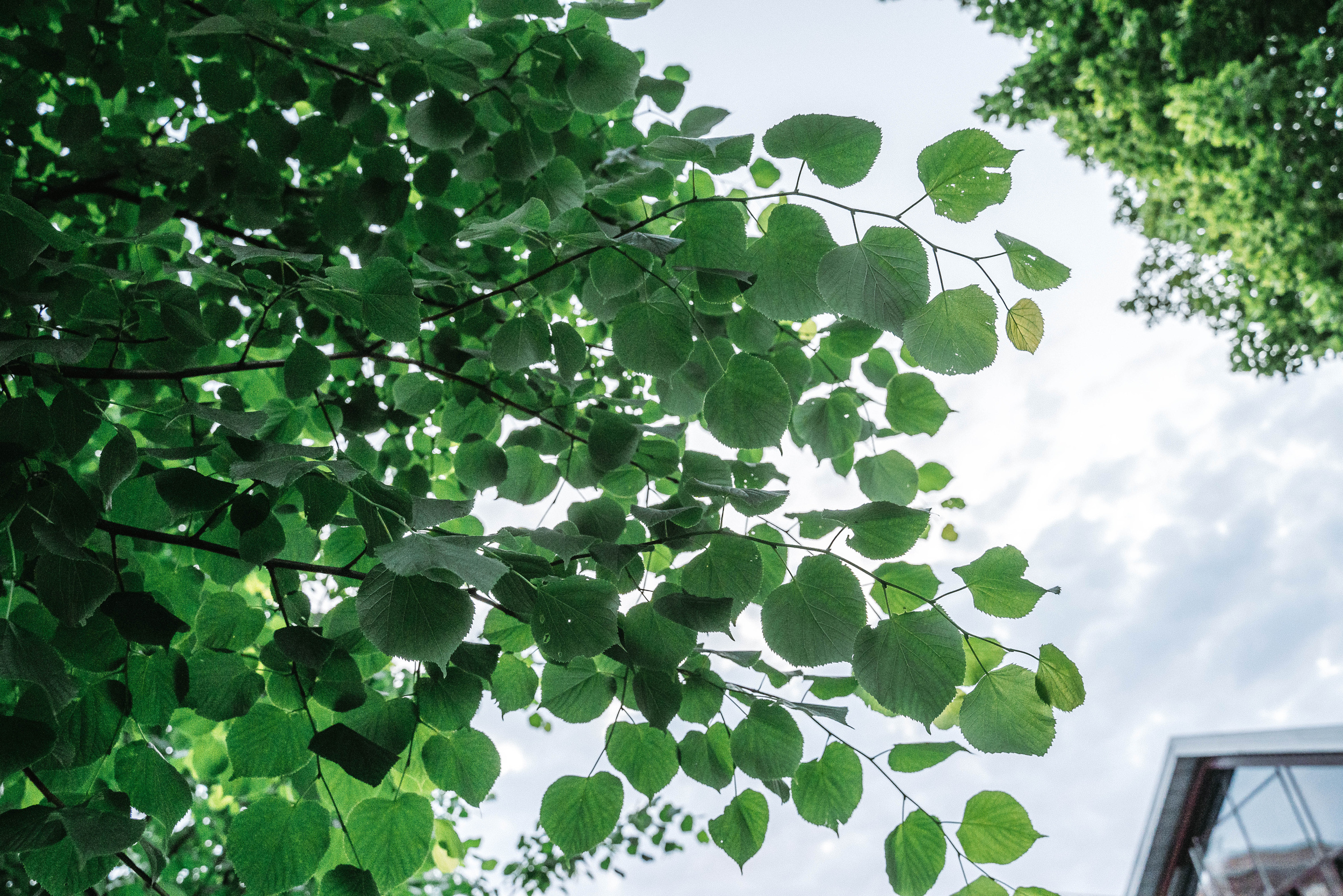 Портетная бизнес фотосессия в локации Завод Арма м. Курская, Москва