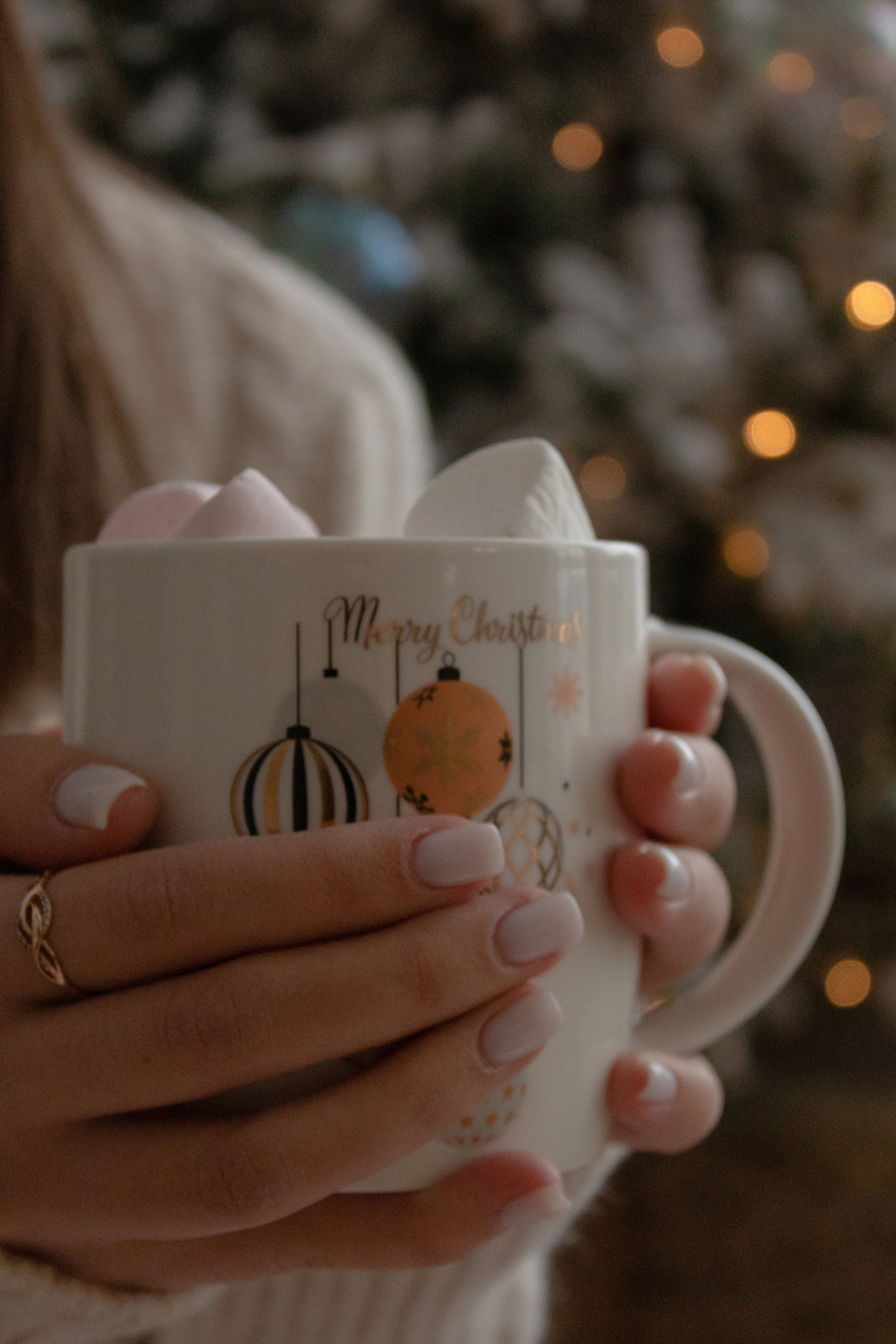 Новогодняя. Фотограф Красноярск Капранова Софья