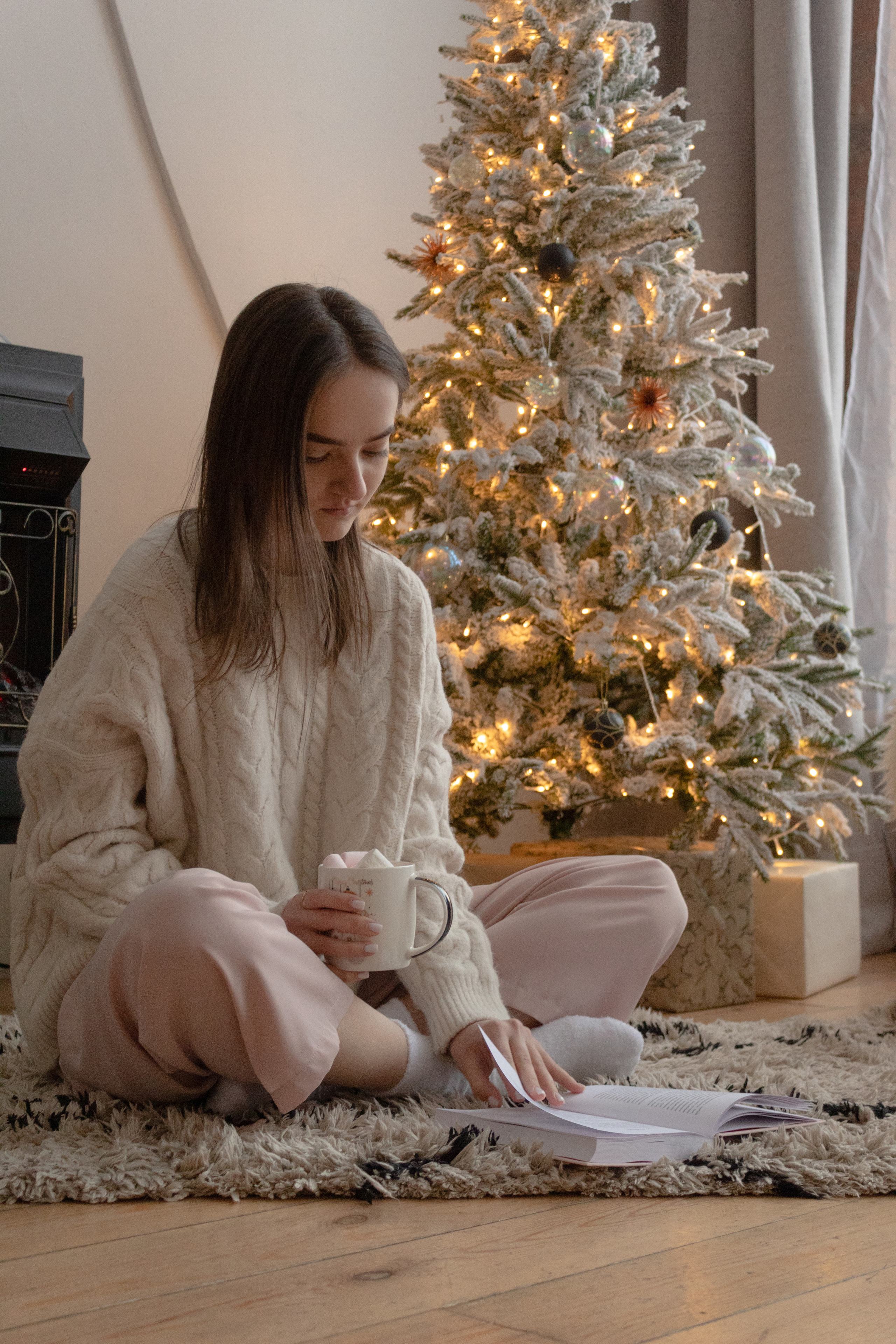 Новогодняя. Фотограф Красноярск Капранова Софья