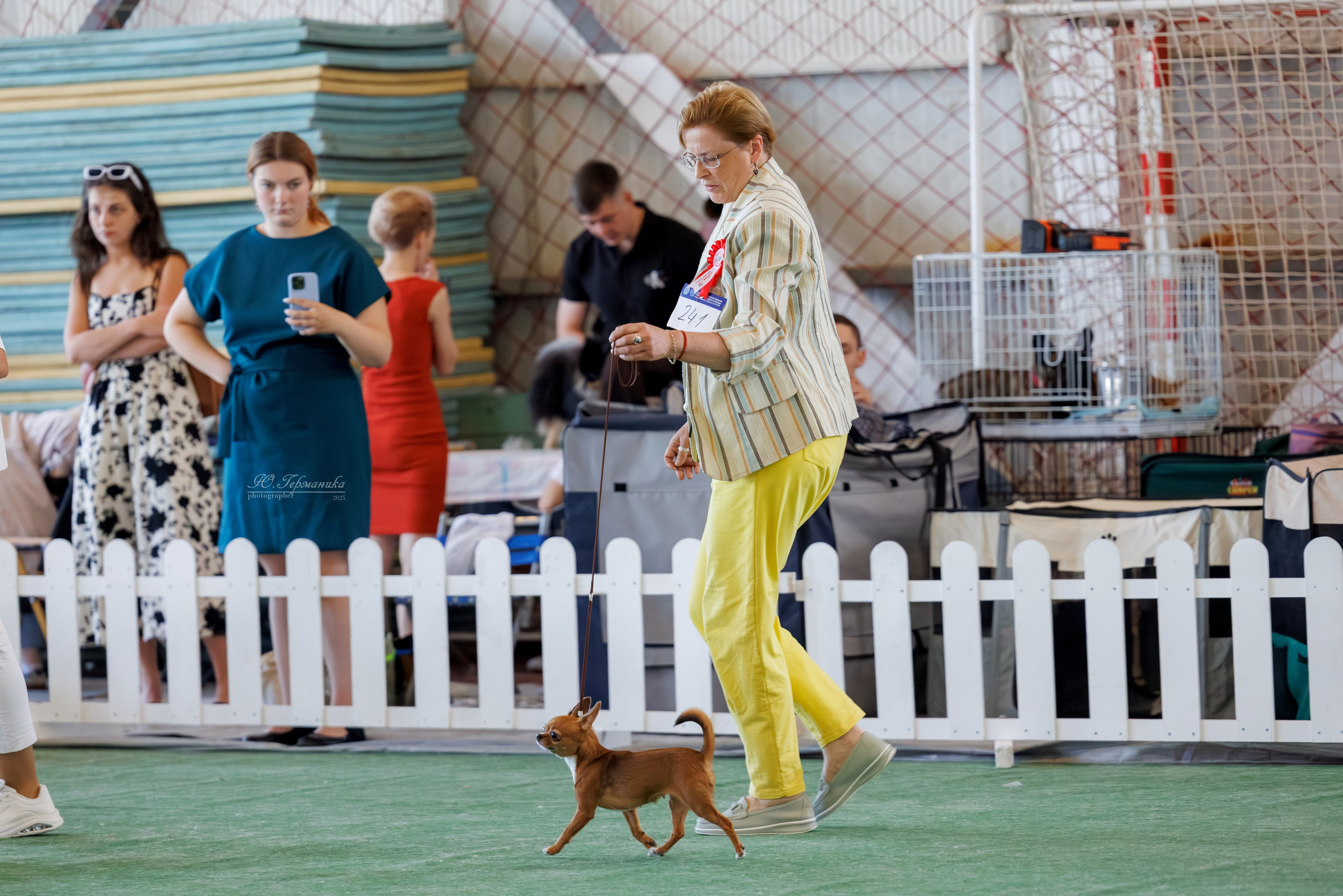 Батуми 3хCACIB 27-29.06.2025. Фотограф-анималист Юлия Германика