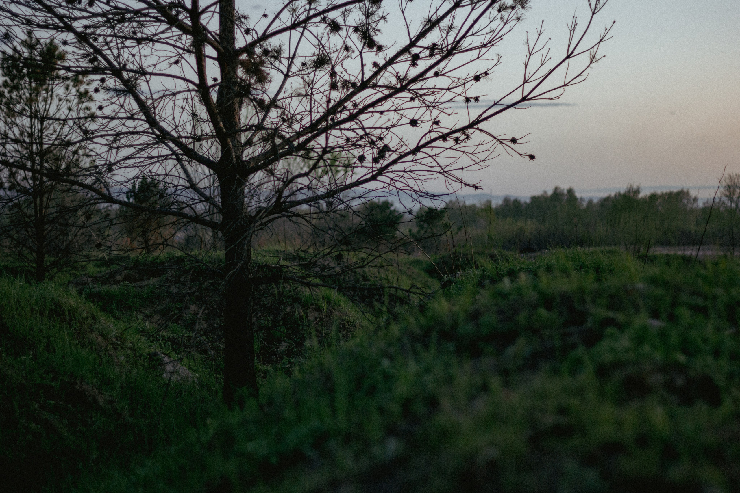 15.05.2025 | Сосновоборск. Kuznetsov | Фотограф в Красноярске