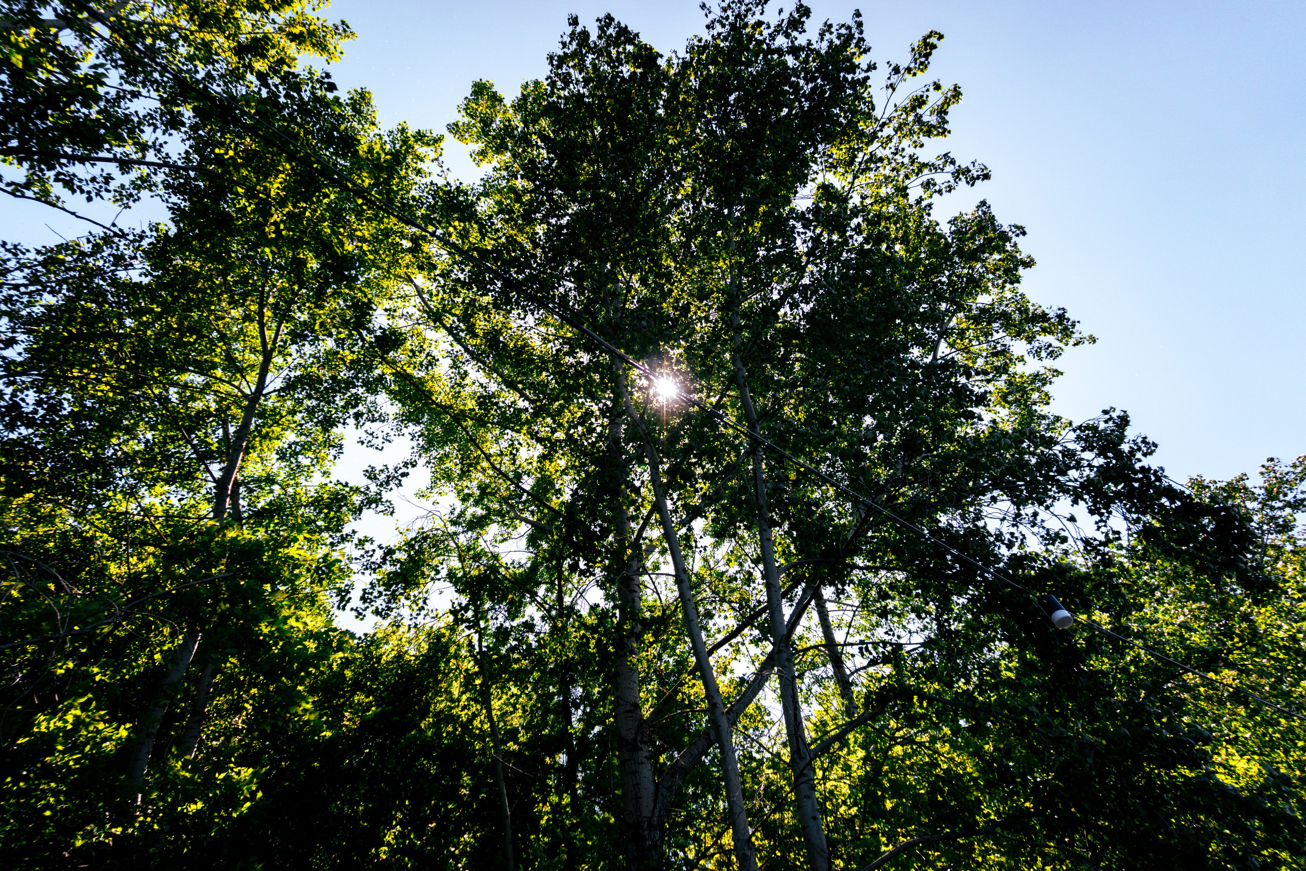 05.06.2025 | Красноярск. Kuznetsov | Фотограф в Красноярске