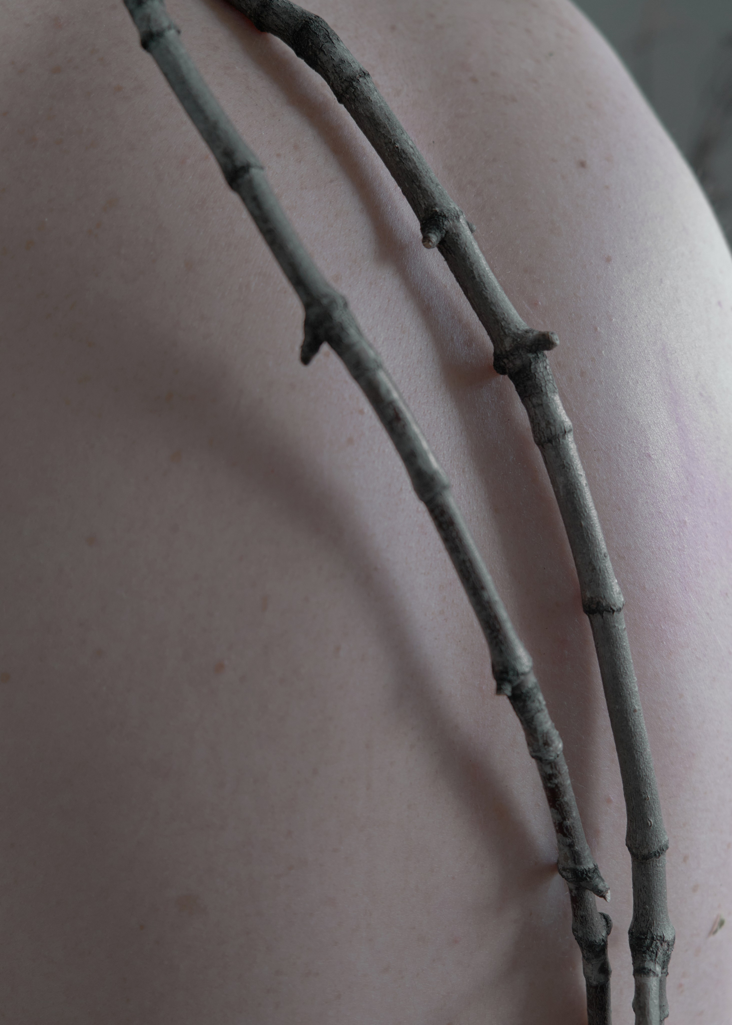 Я приношу к себе лес я себя приношу в лес. Алиса Косарева