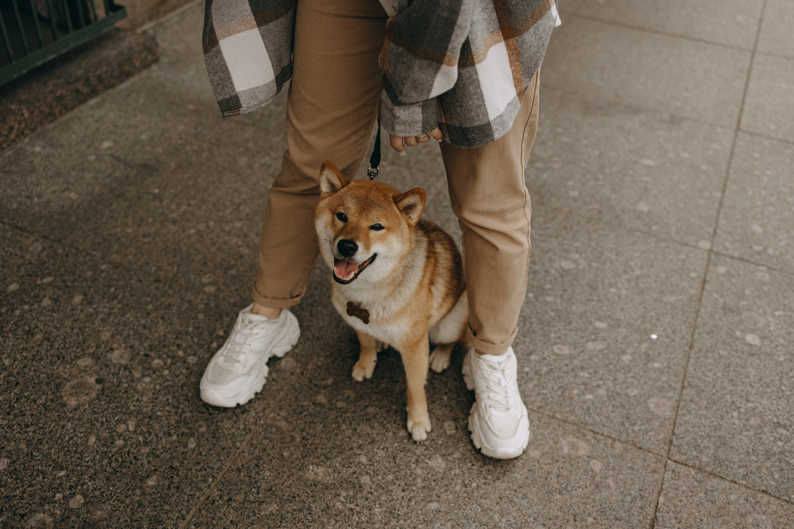 Сириус и его семья. Фотограф — Анималист | Санкт-Петербург