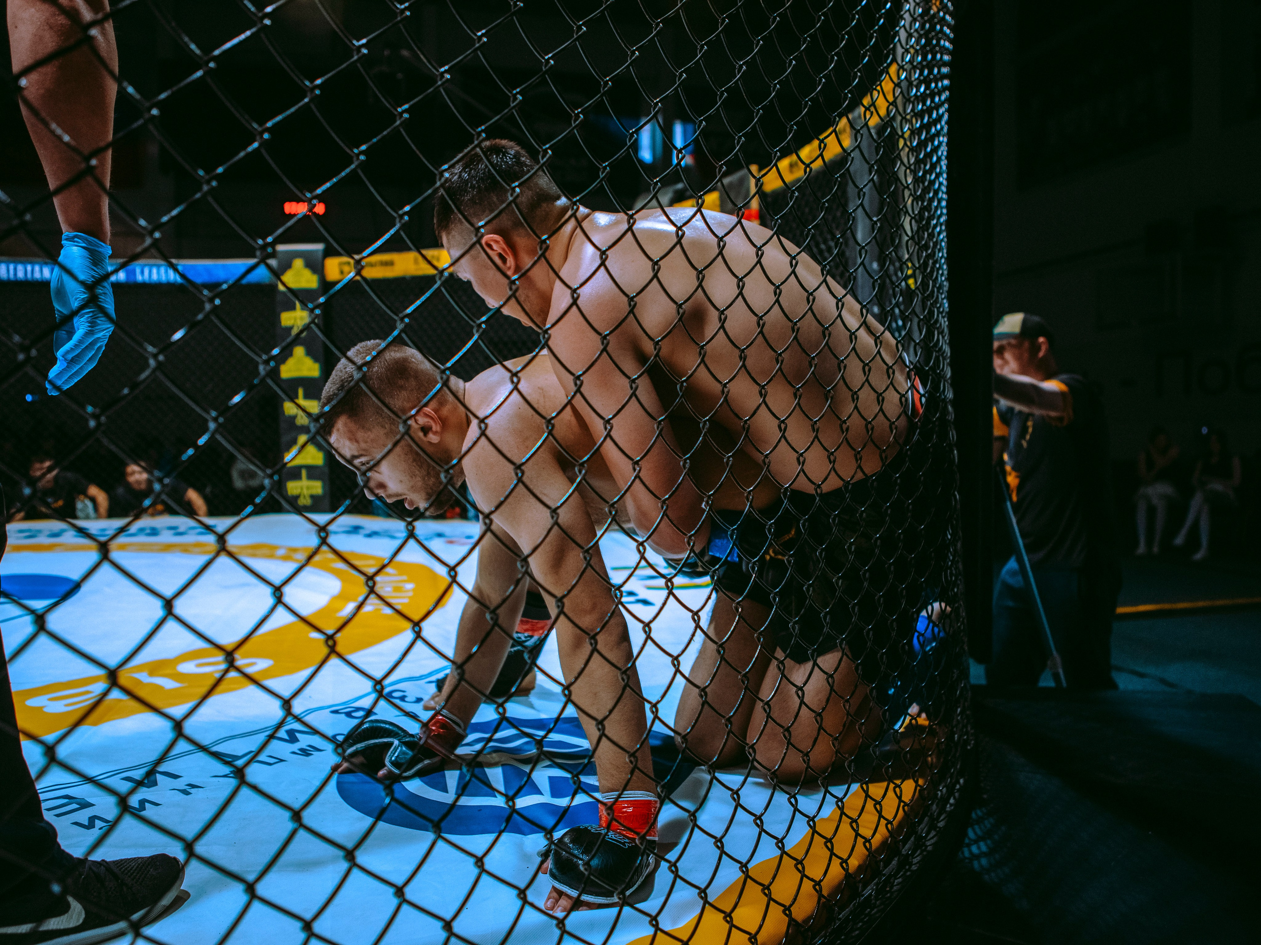 SFL 17 | Siberian Fighting League. Портретный фотограф в Москве Дарья Цезария