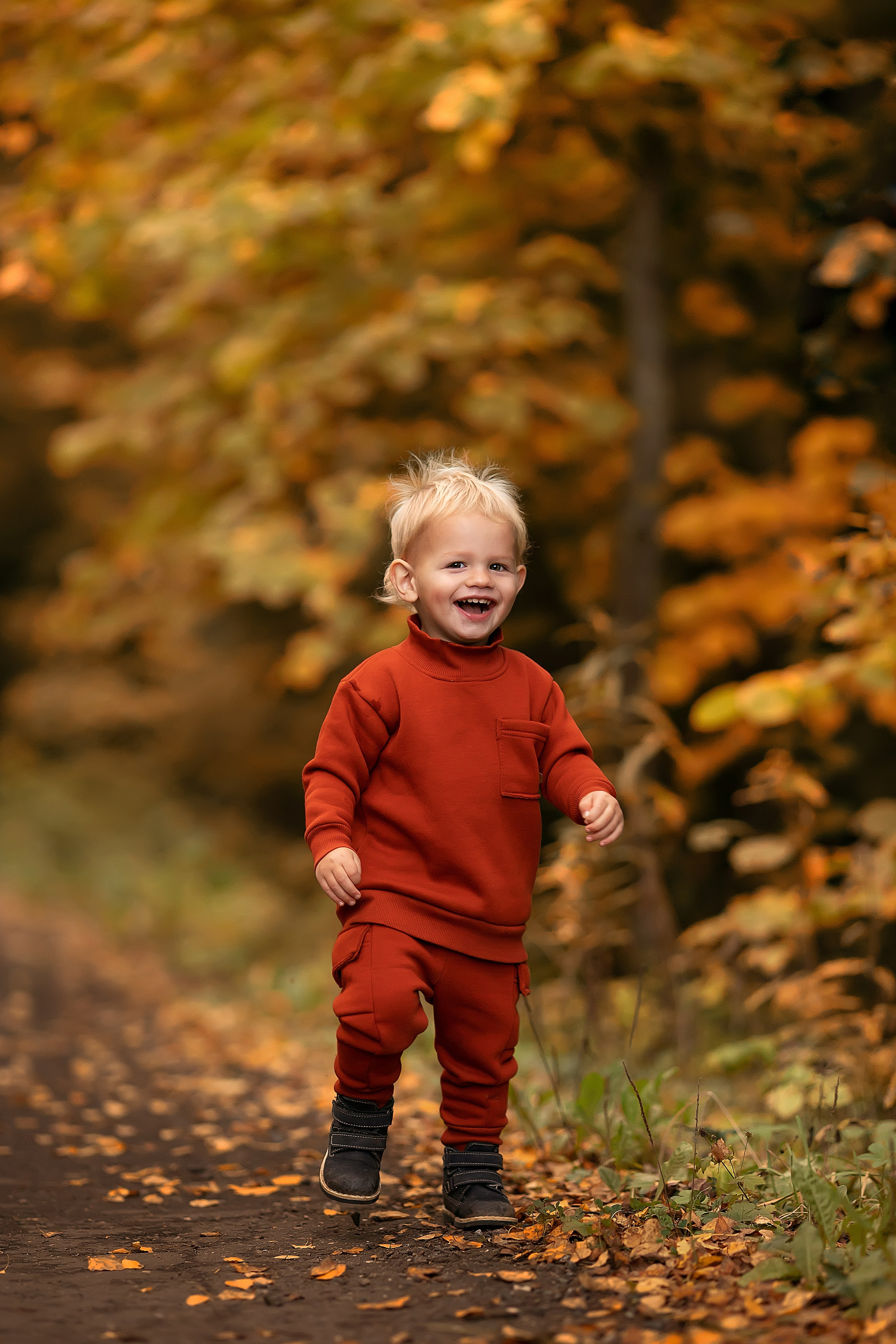 Сказочная осень. Главная