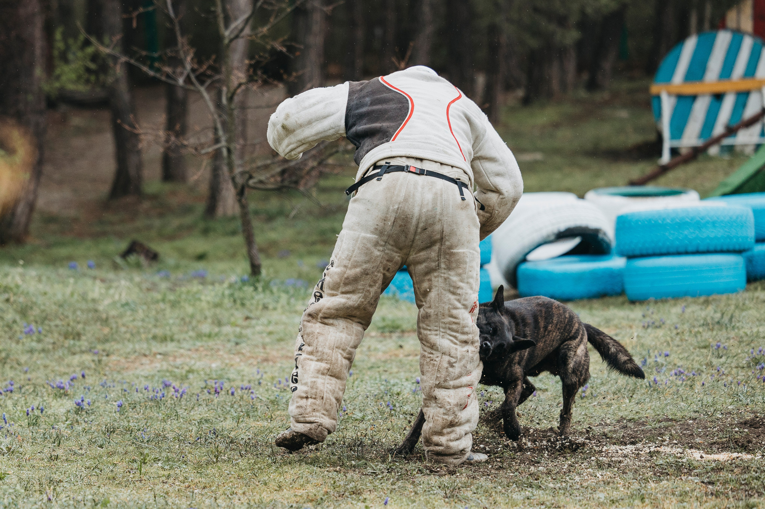 Геленджик Мондьоринг. Фотограф-анималист Анна Маринич