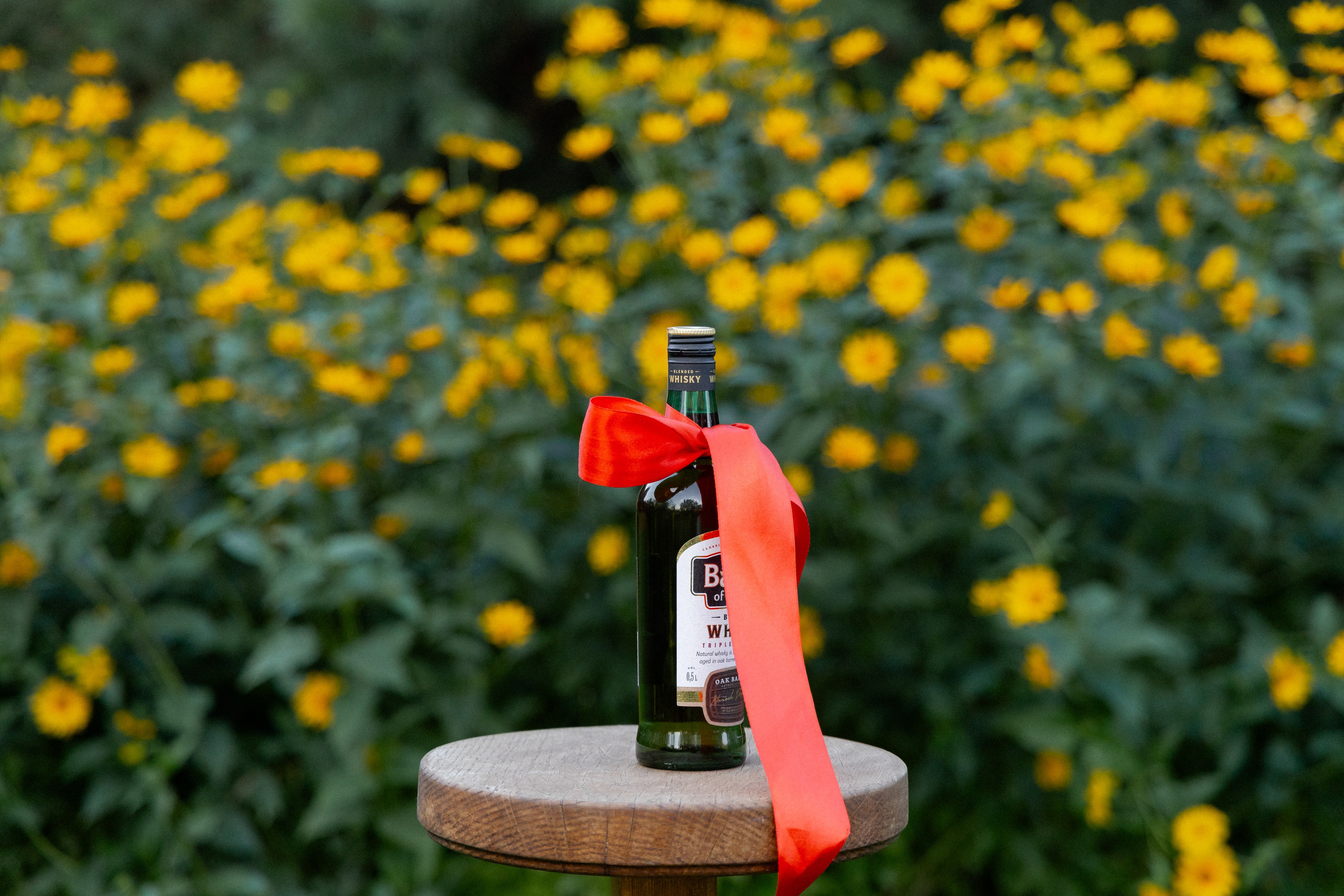 Свадебная фотосессия в агроусадьбе Лабодянка в Минске. Свадебный фотограф в Минске/Беларуси Сергей Спиридонов