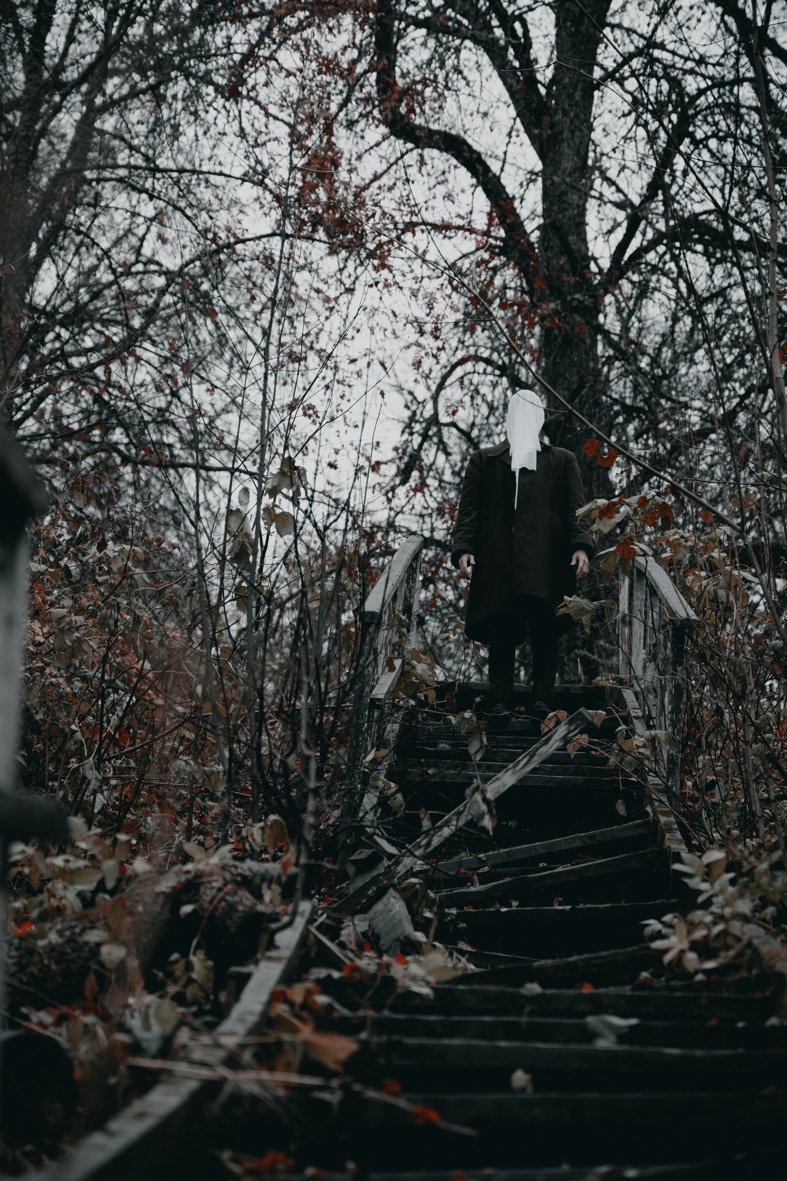 IVAN MESHCHERYAKOV. Фотограф