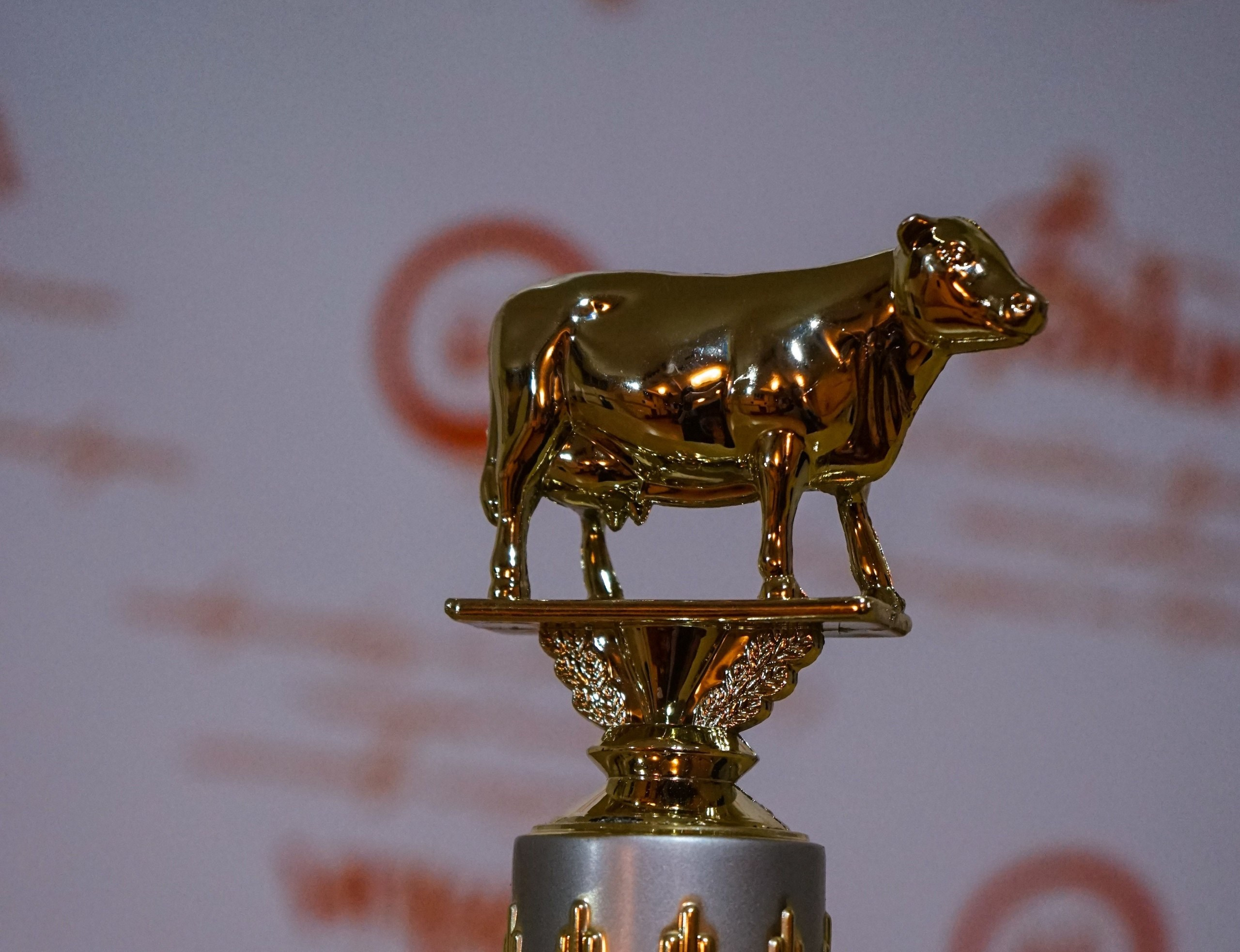 ФВН | 2016. Галерея Фантим