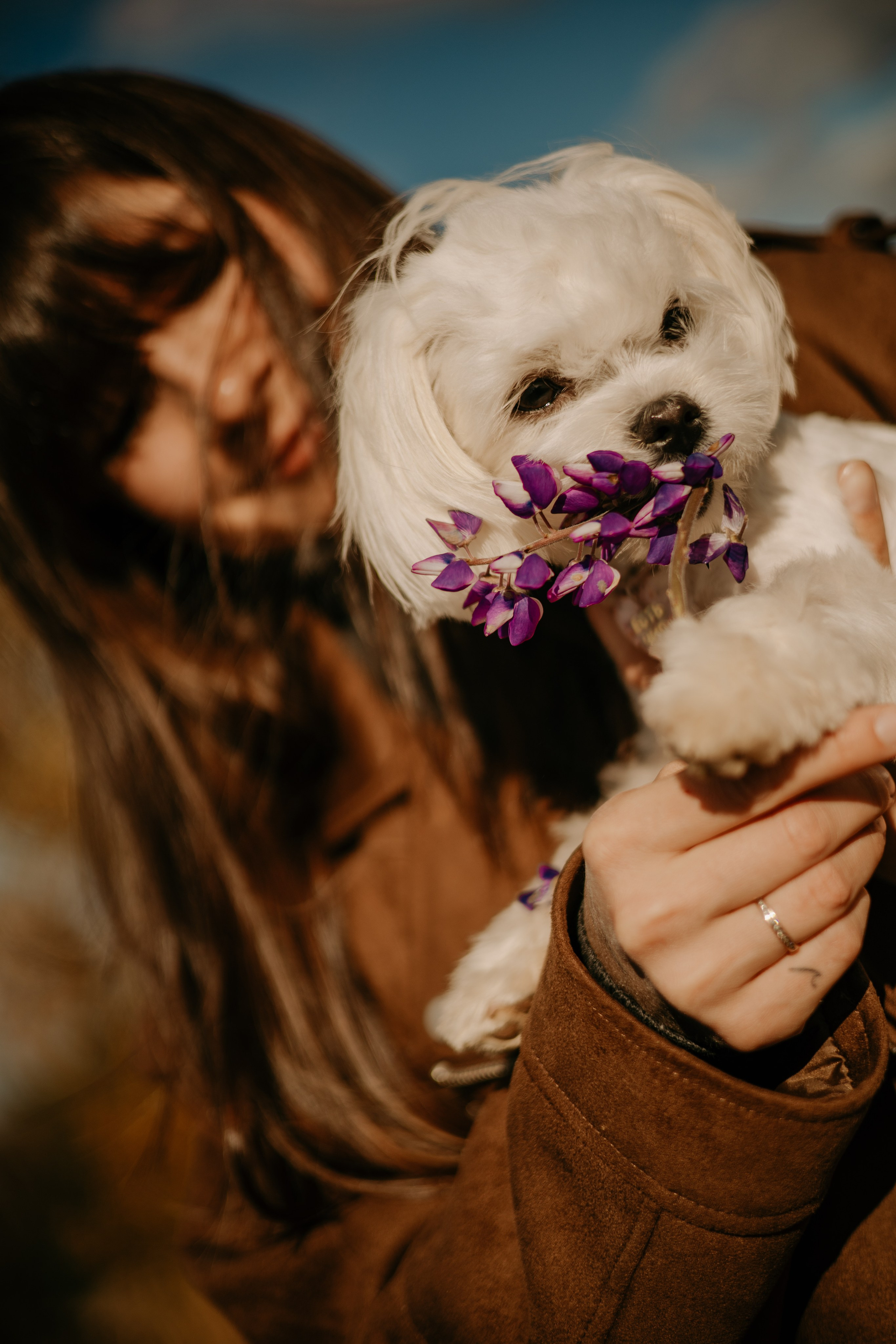 Любовь & Белла. Фотограф — анималист •love-story•|Санкт-Петербург