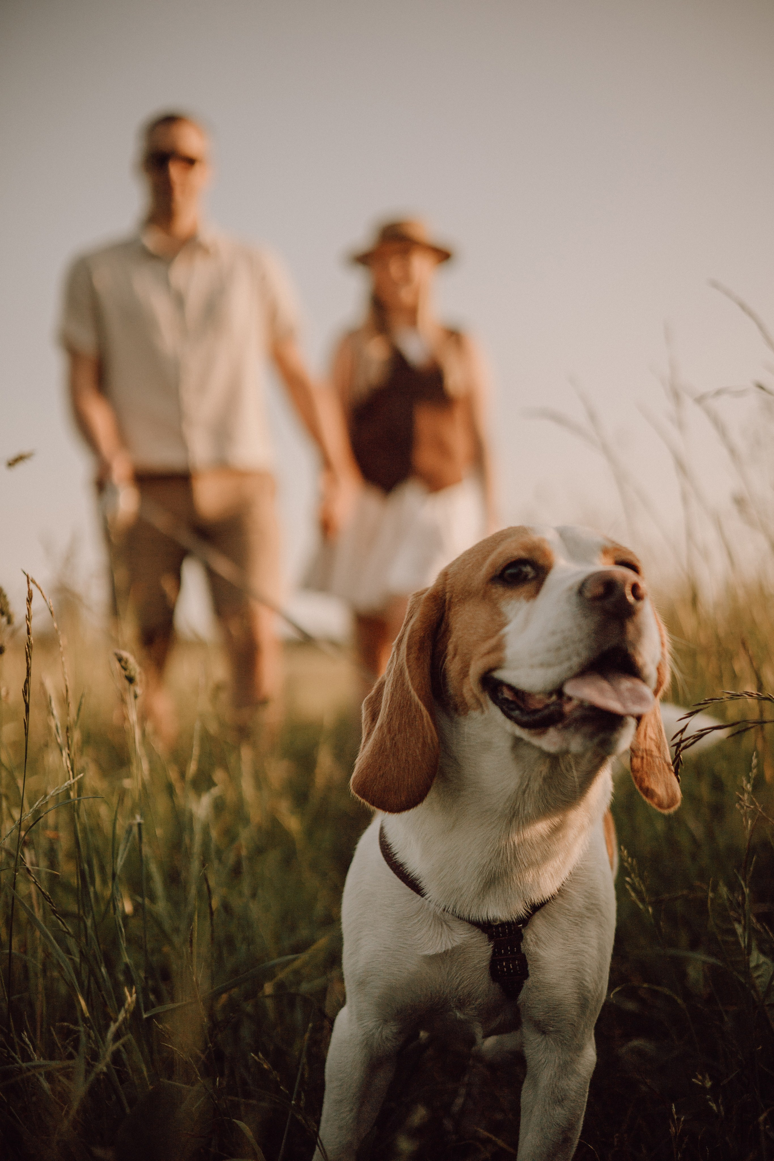 Мартин и его семья. Фотограф — анималист •love-story•|Санкт-Петербург