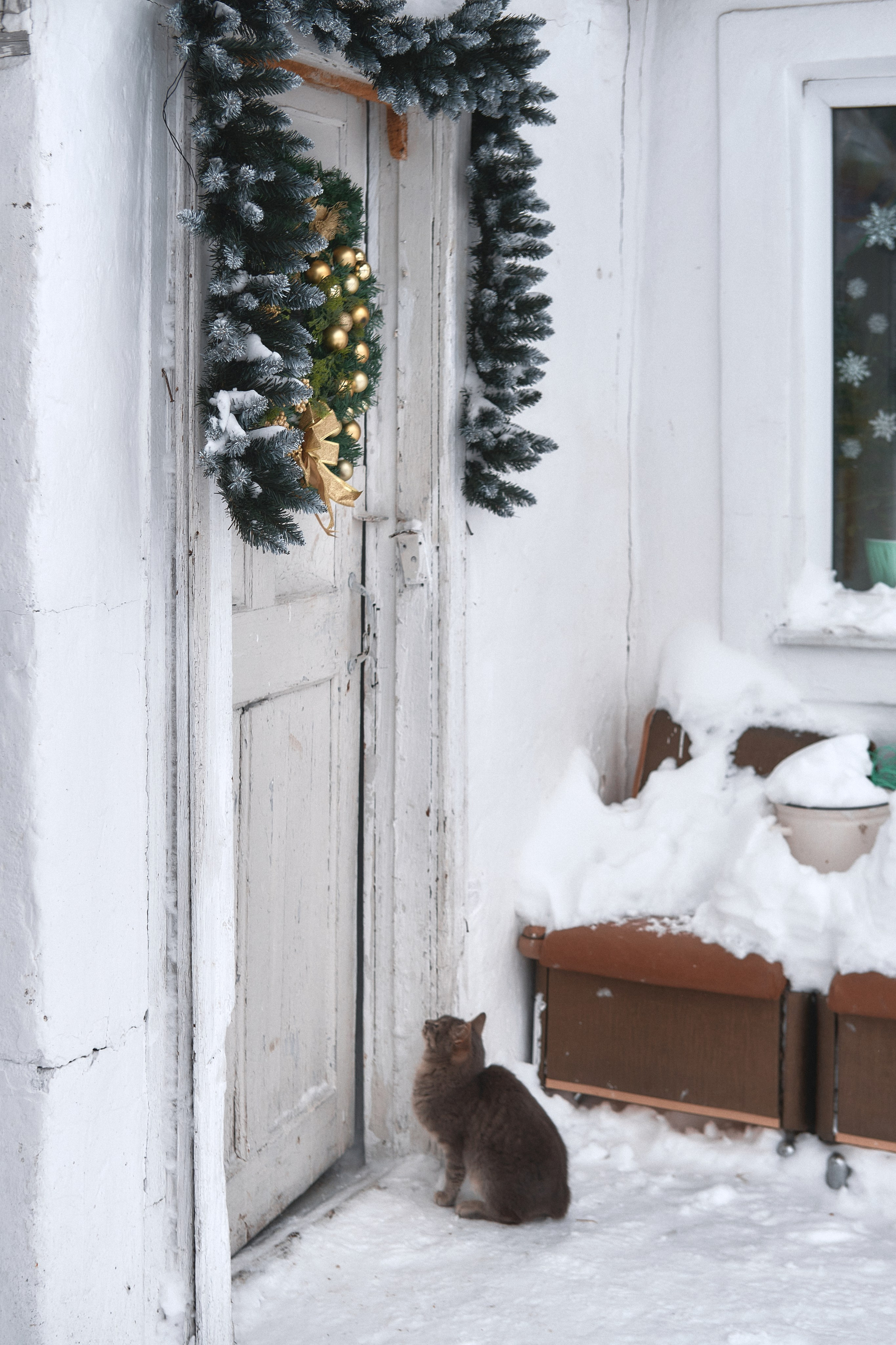 День рождения Миши_домашняя съёмка. Семейный и женский фотограф в Новомосковске и Узловой Михеева Татьяна