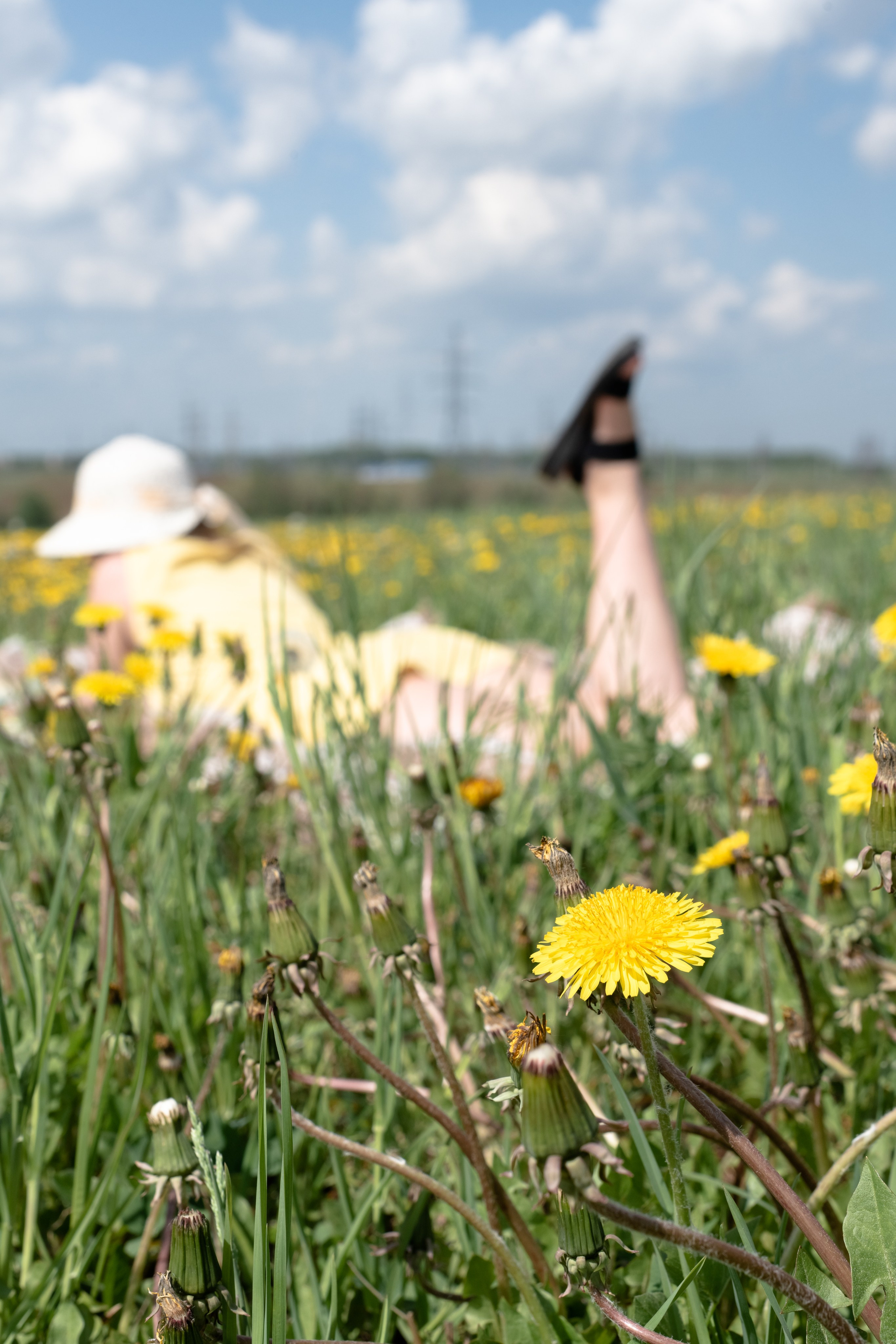 Девушка в одуванчиках. Григорий Карпов, портретный фотограф в городе Перми