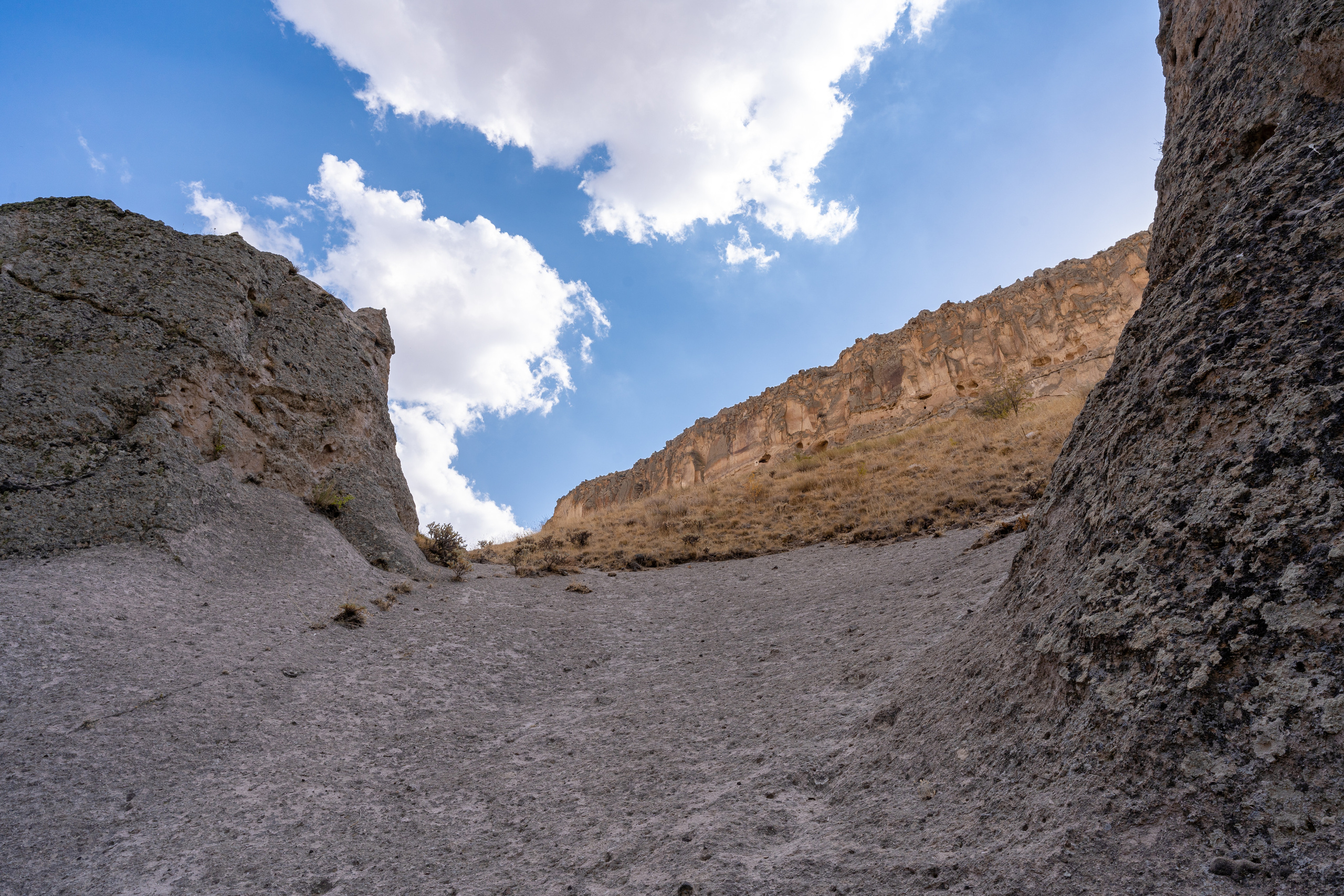 Природа в Sogonli