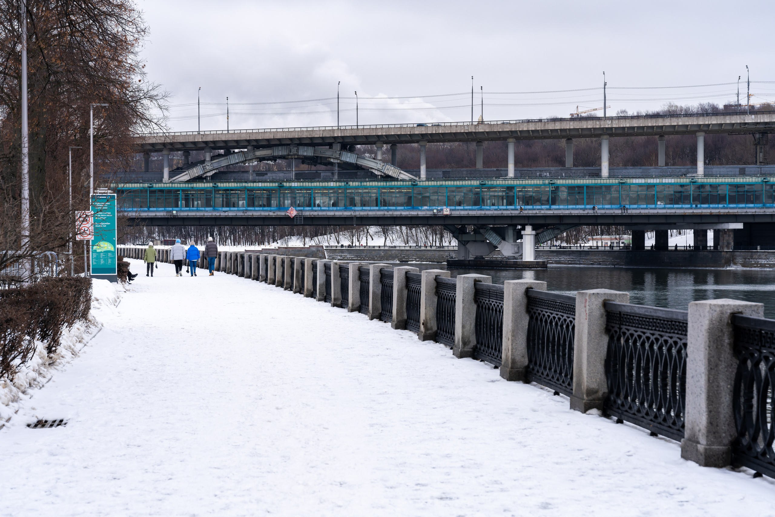 Вид на метромост из Лужников