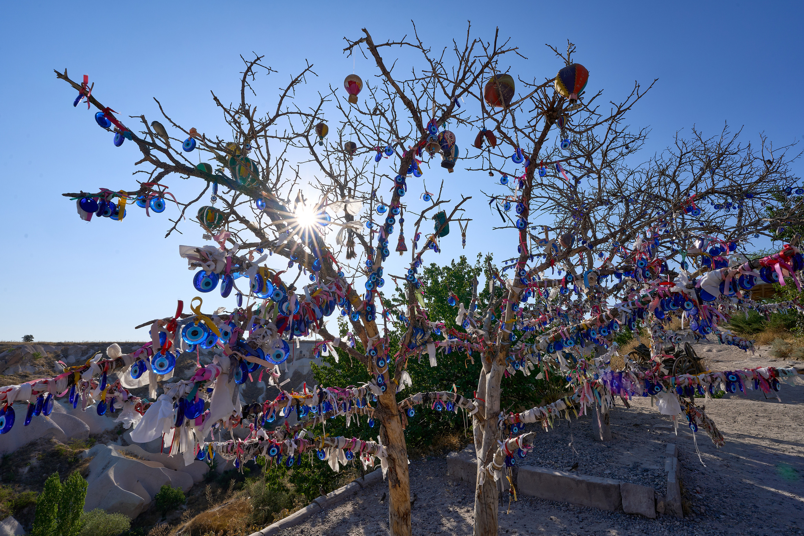 Национальные атрибуты на дереве в Турции