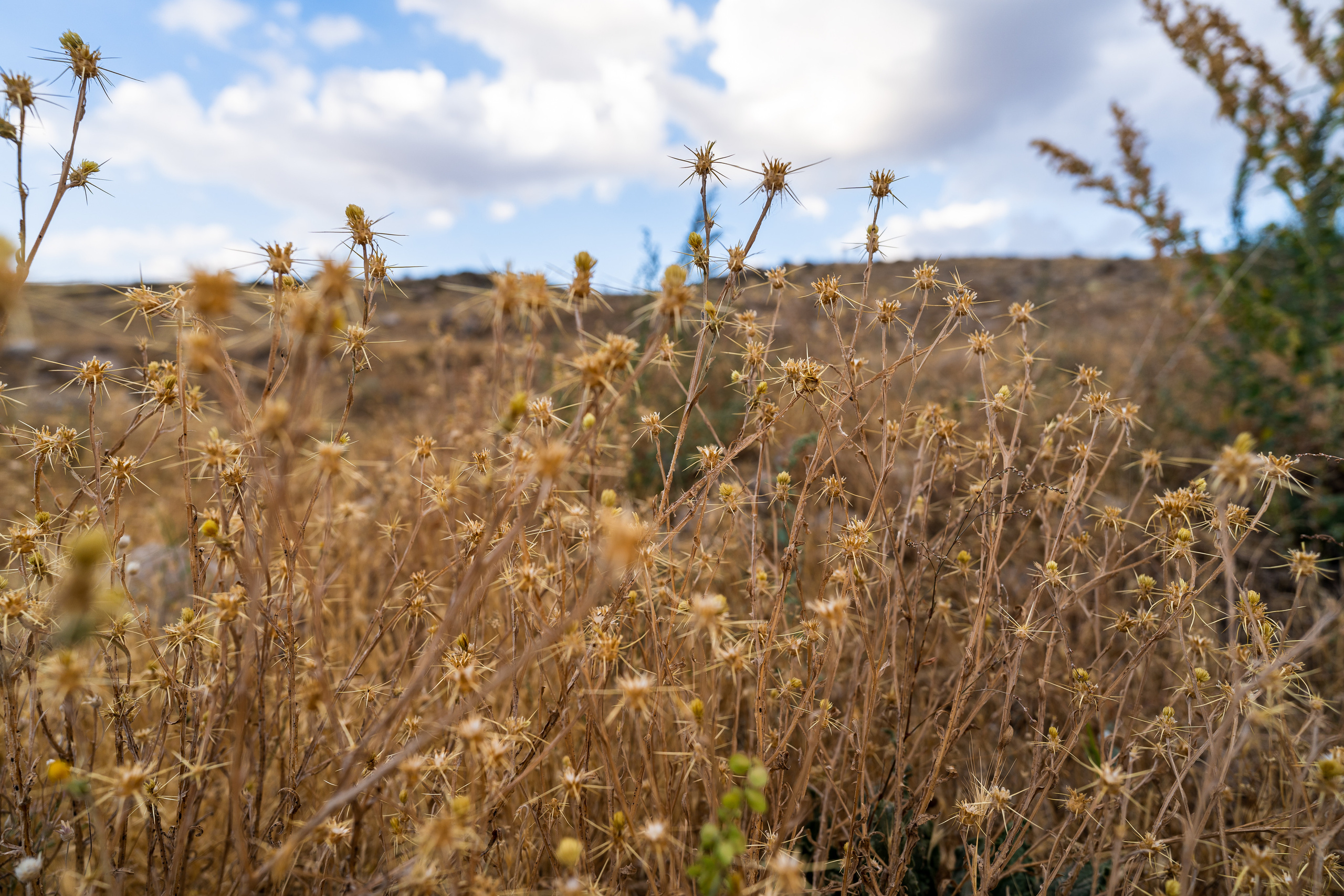 Природа в Турции