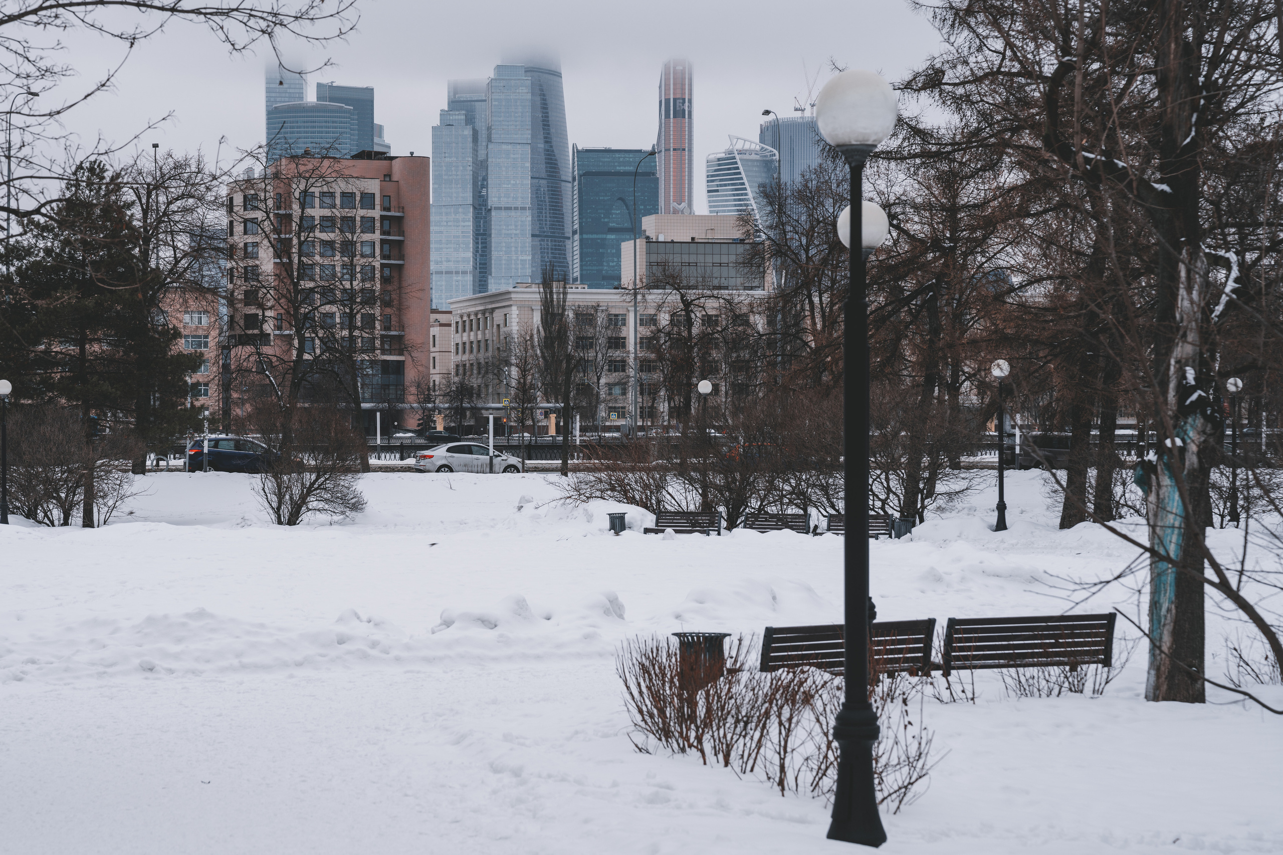 Вид на Москва-Сити из парка при Новодевичьих прудах