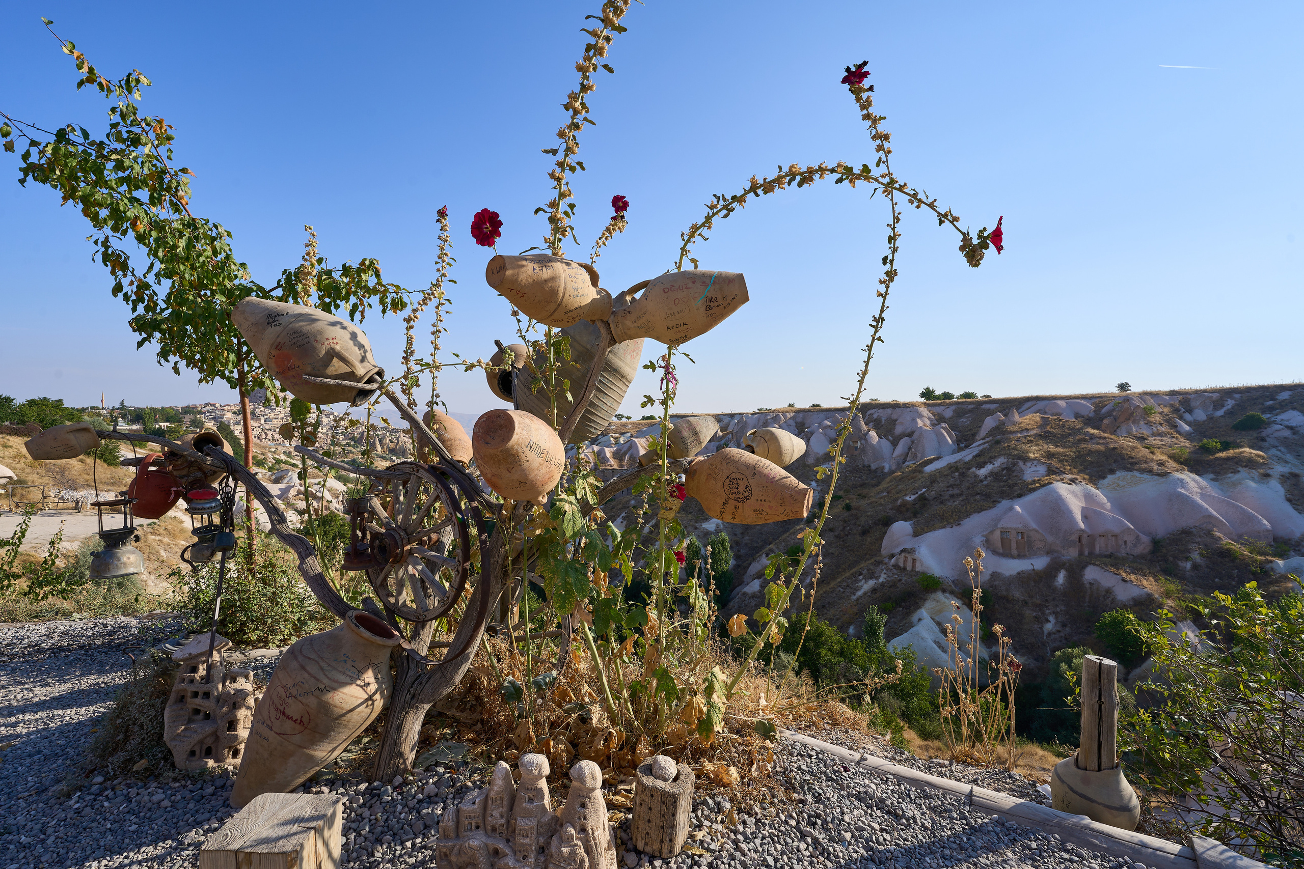 Национальные атрибуты на дереве в Турции