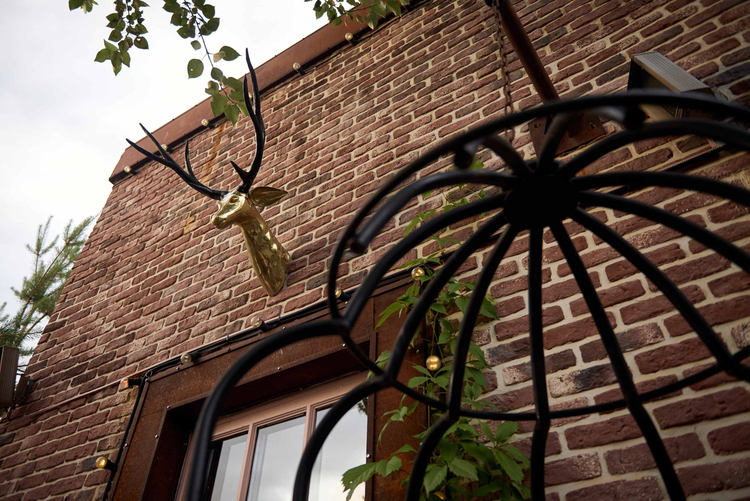 Репортажная фотосъёмка летнего корпоратива в лофте на открытом воздухе. Репортажный фотограф в Москве, Сергей Торунов