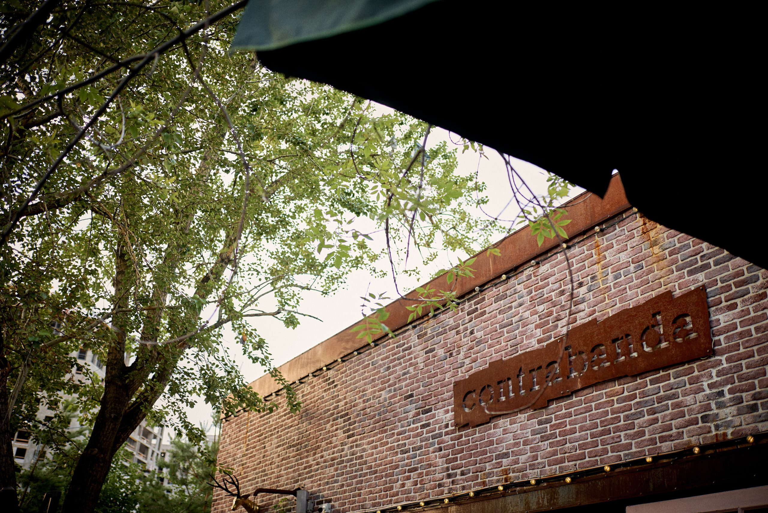 Репортажная фотосъёмка летнего корпоратива в лофте на открытом воздухе. Репортажный фотограф в Москве, Сергей Торунов