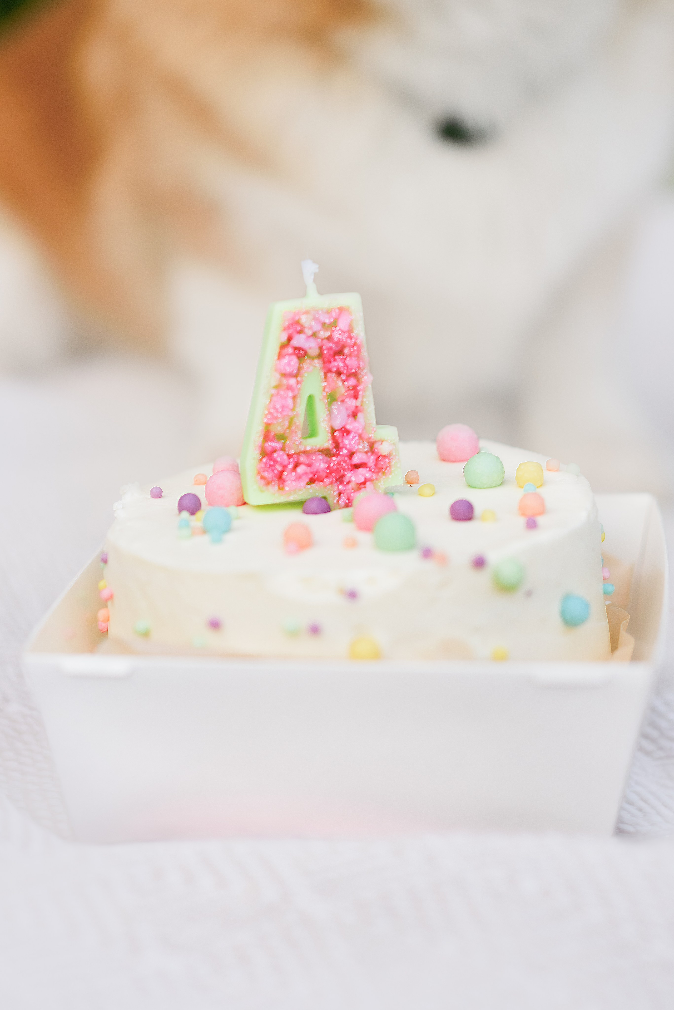 Максим, Надя, Шелби и Рой — 31.05.2025. Фотограф — Анималист | Анна Абрамова