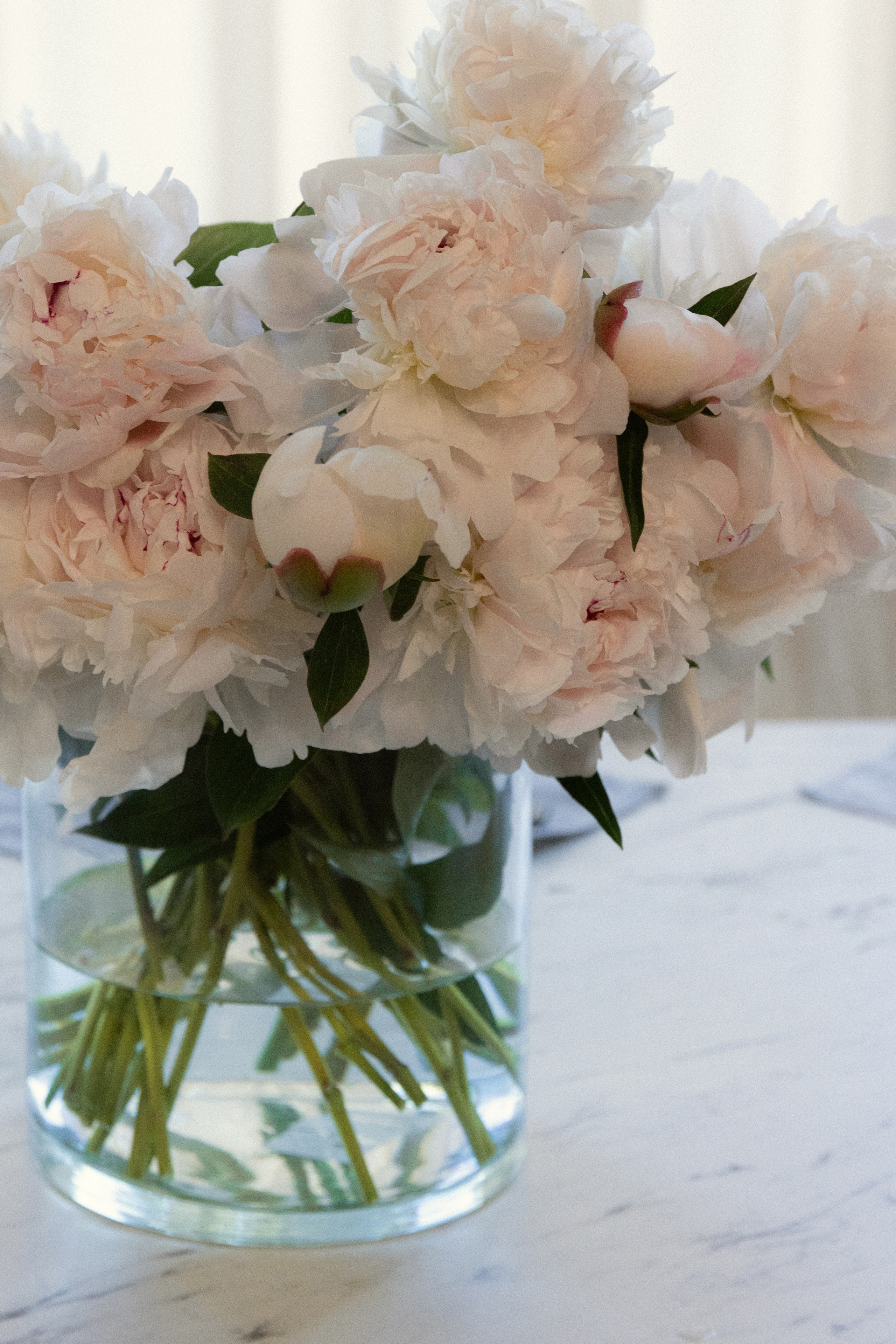 Павел и Александра. Свадебный и семейный фотограф в Анапе/Новороссийске Виктория Чайка