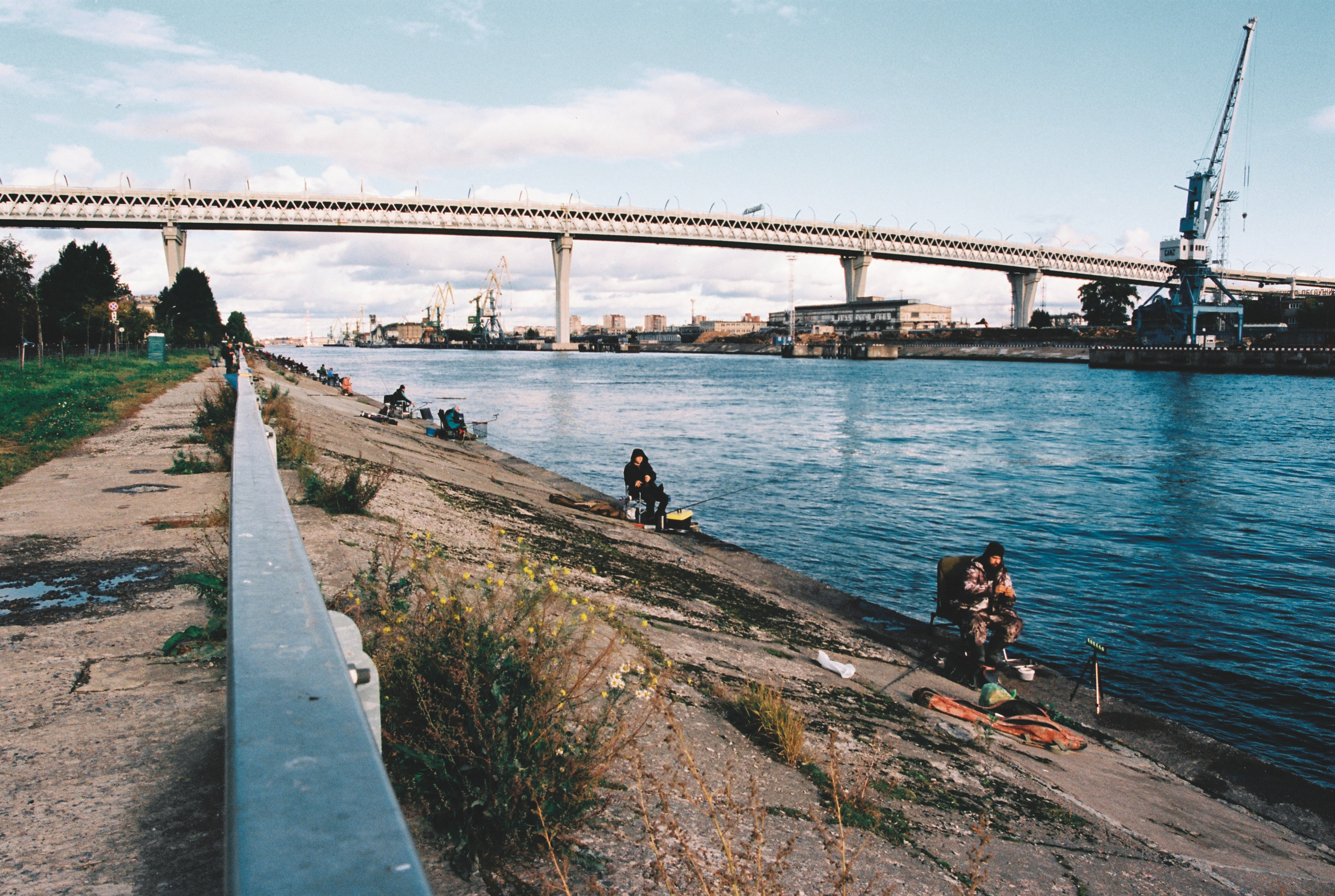 Фотографии цветные. Свадебный и семейный пленочный фотограф в Петербурге Истомина Ирина