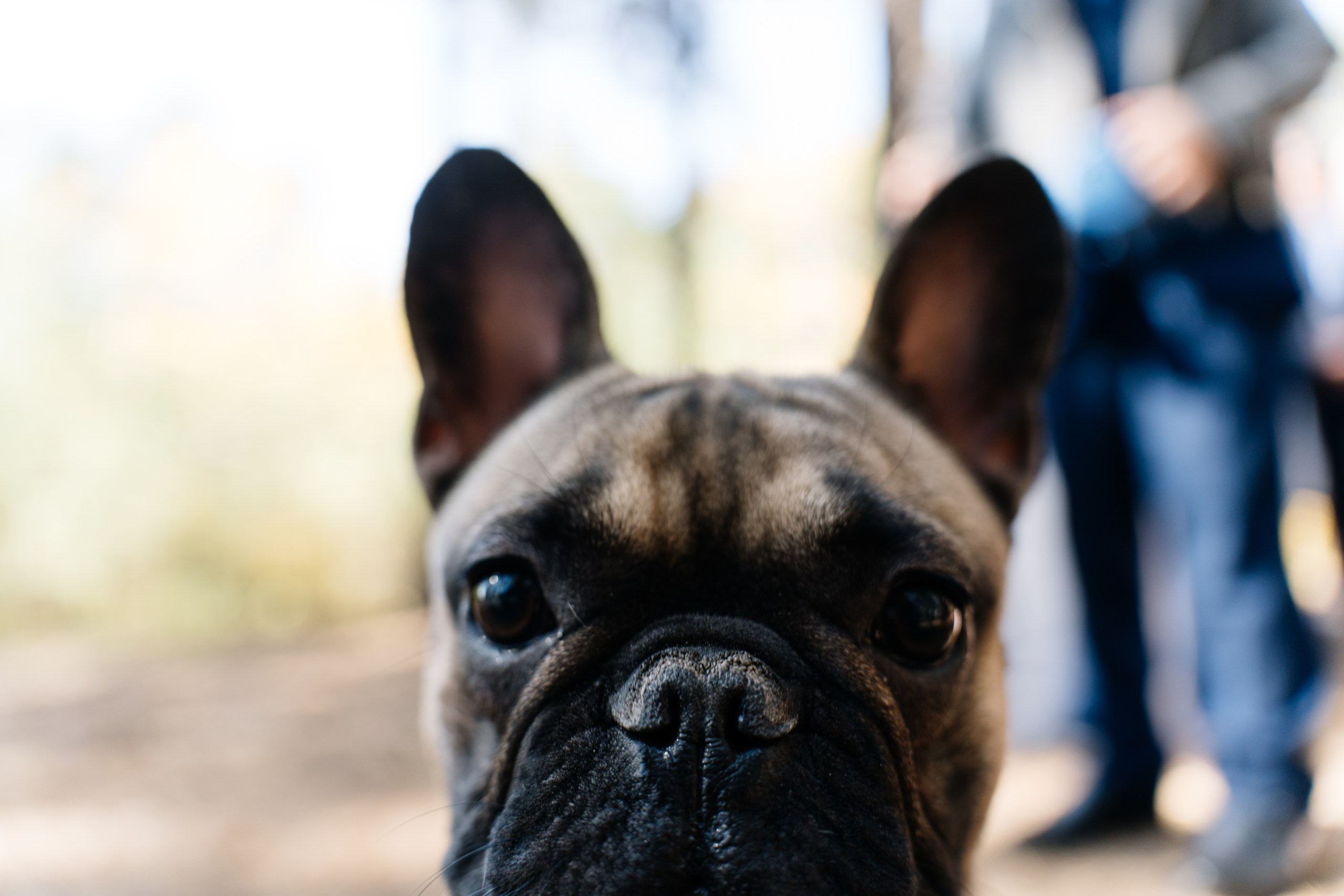 Осенний день. Свадебный Фотограф Чита Малахов Филипп