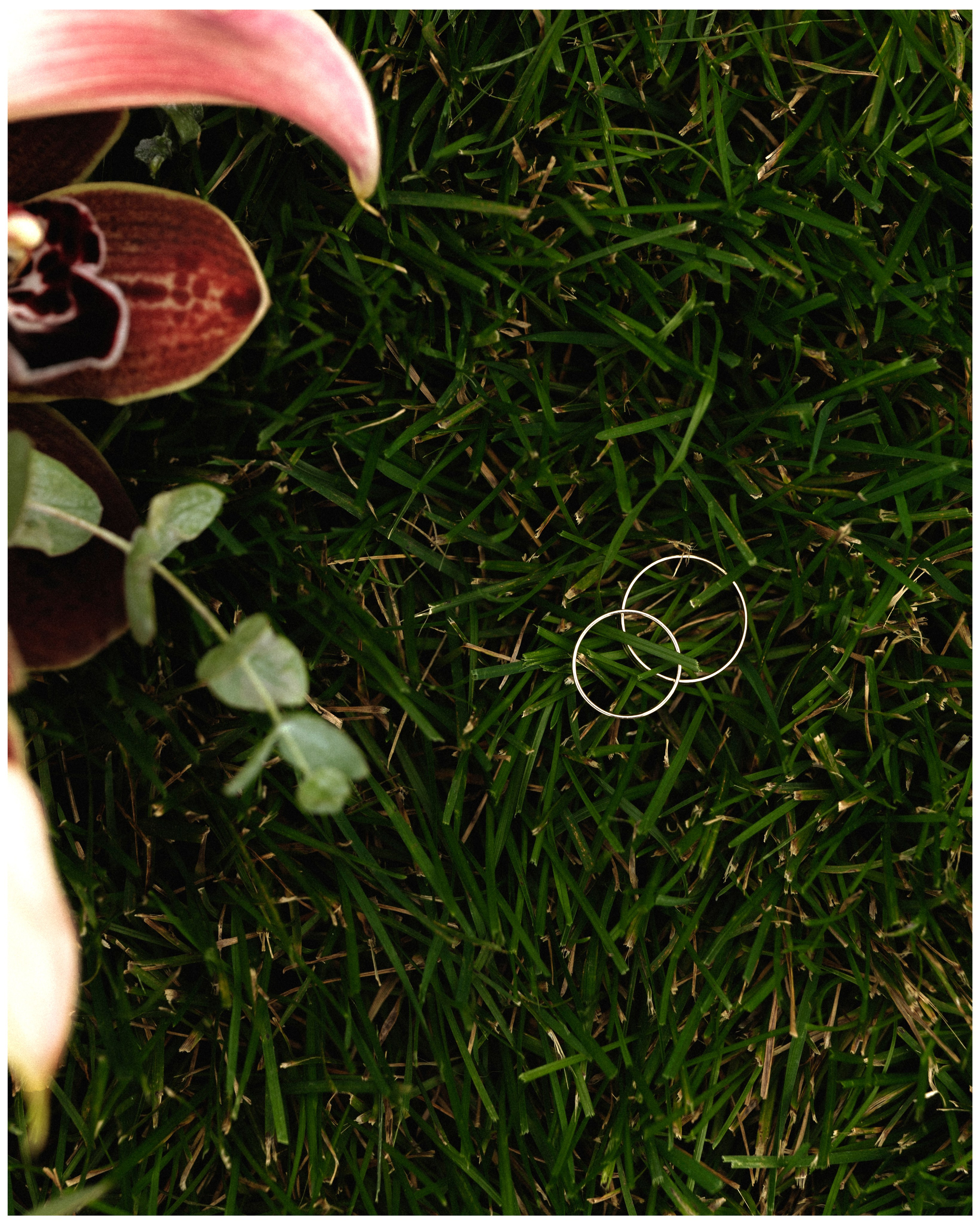 Надежда и Виктор. Фотограф Маргарита Спицина в городе Липецк