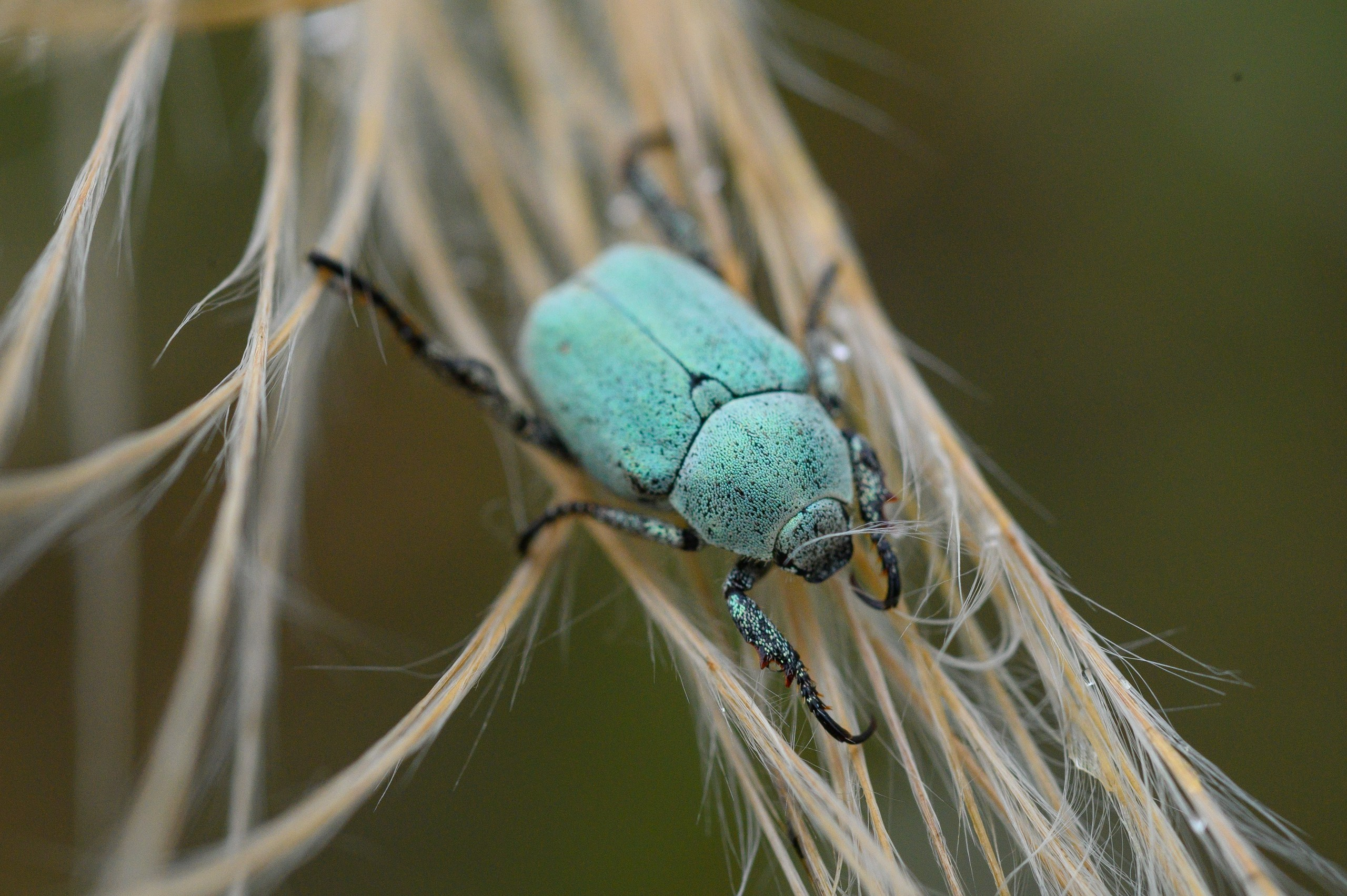 Фотопленэр на болоте. Фотообъединение Самарского областного отделения Союза журналистов России
