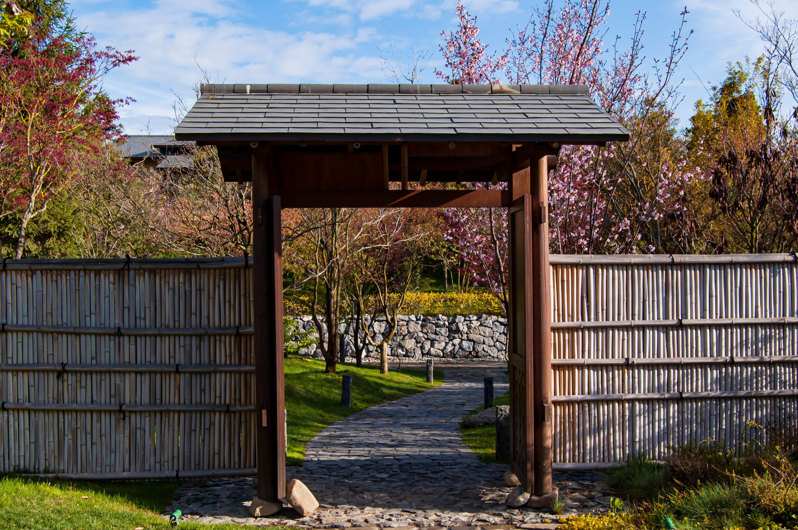 Фотосессия в Краснодаре. Портретный фотограф в Краснодаре Слава Никитин