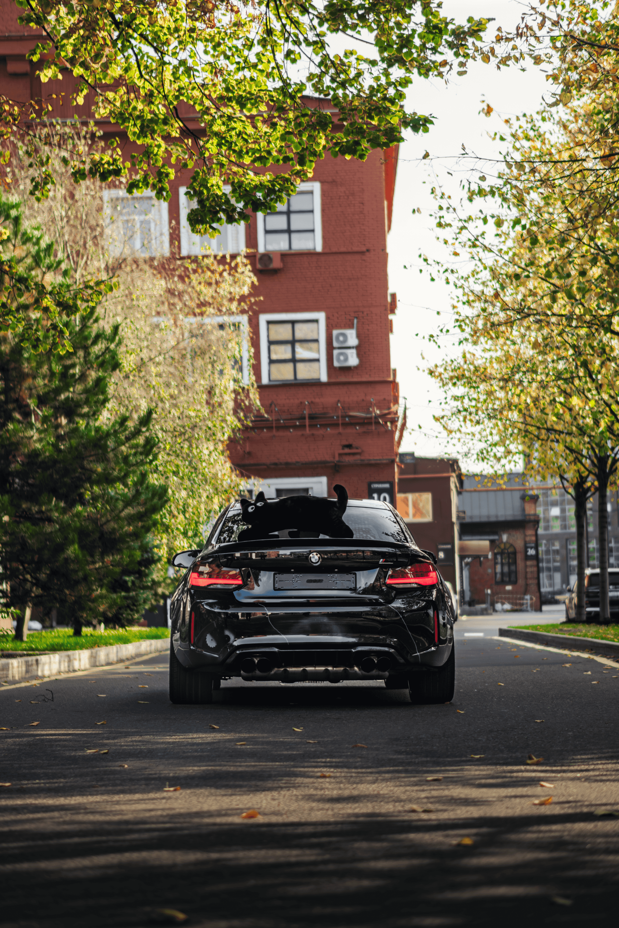 BMW M2 & M4: Competition mania