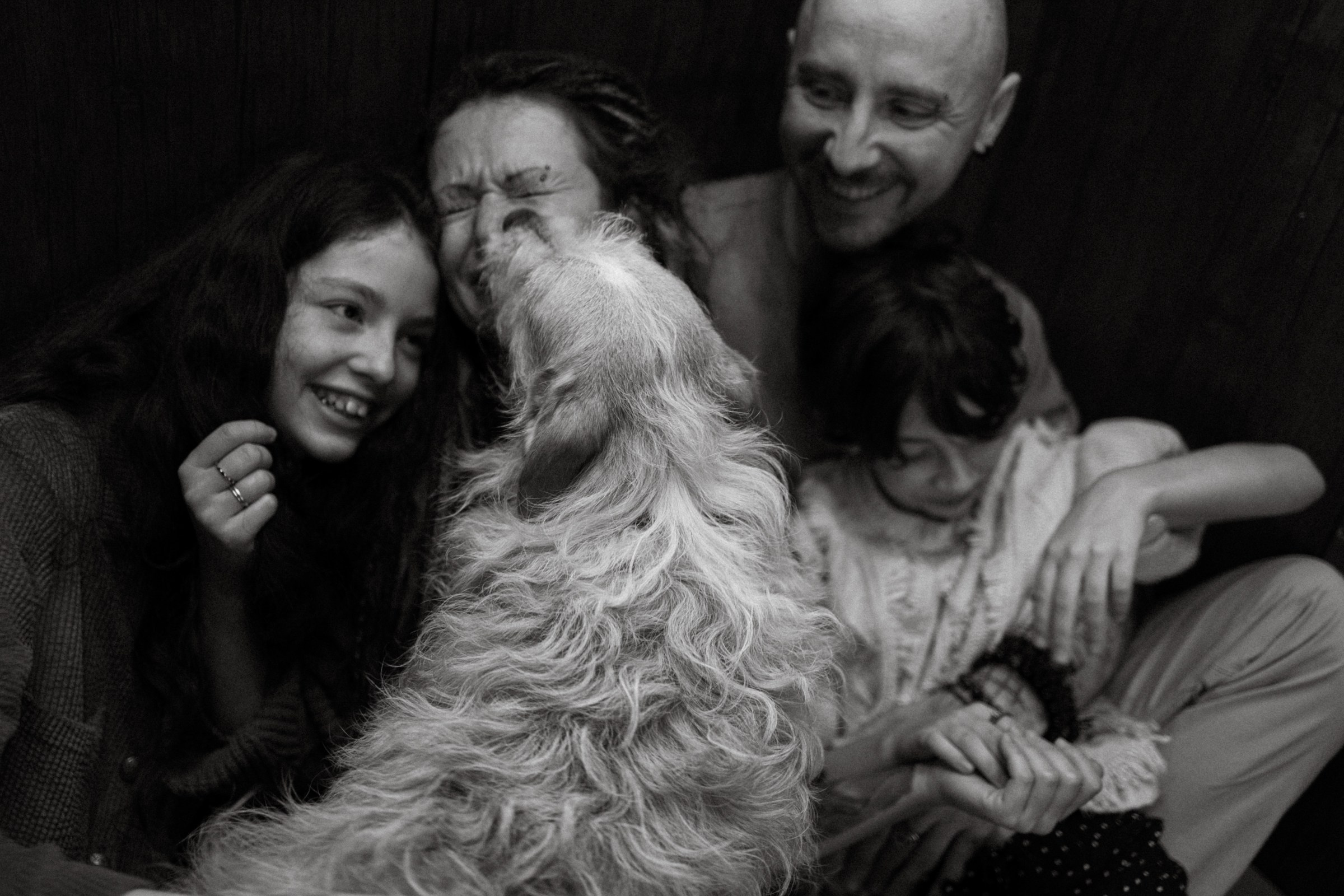 Франкенвини. Фотограф Daria Wilner